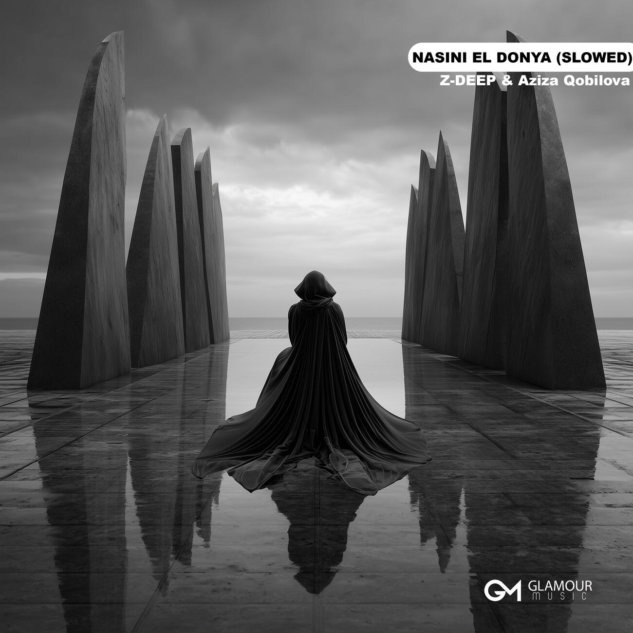 Nasini El Donya (Slowed)