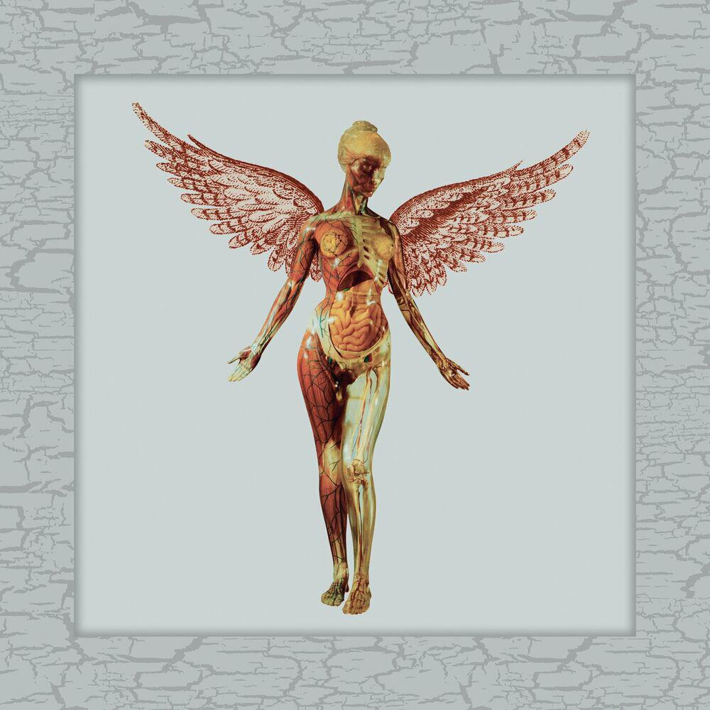 In Utero 30th Live