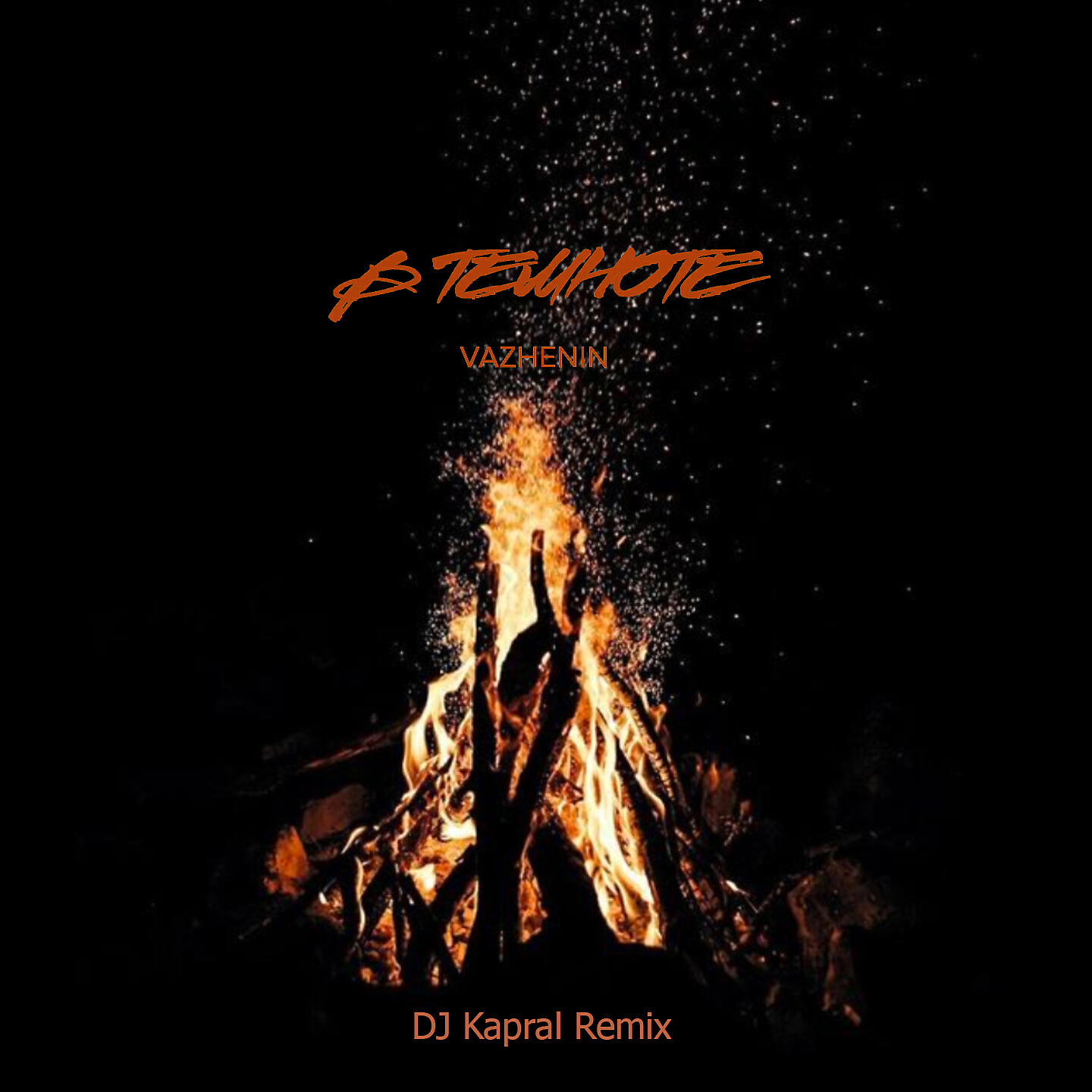 Альбом В темноте (DJ Kapral Remix) исполнителя VAZHENIN