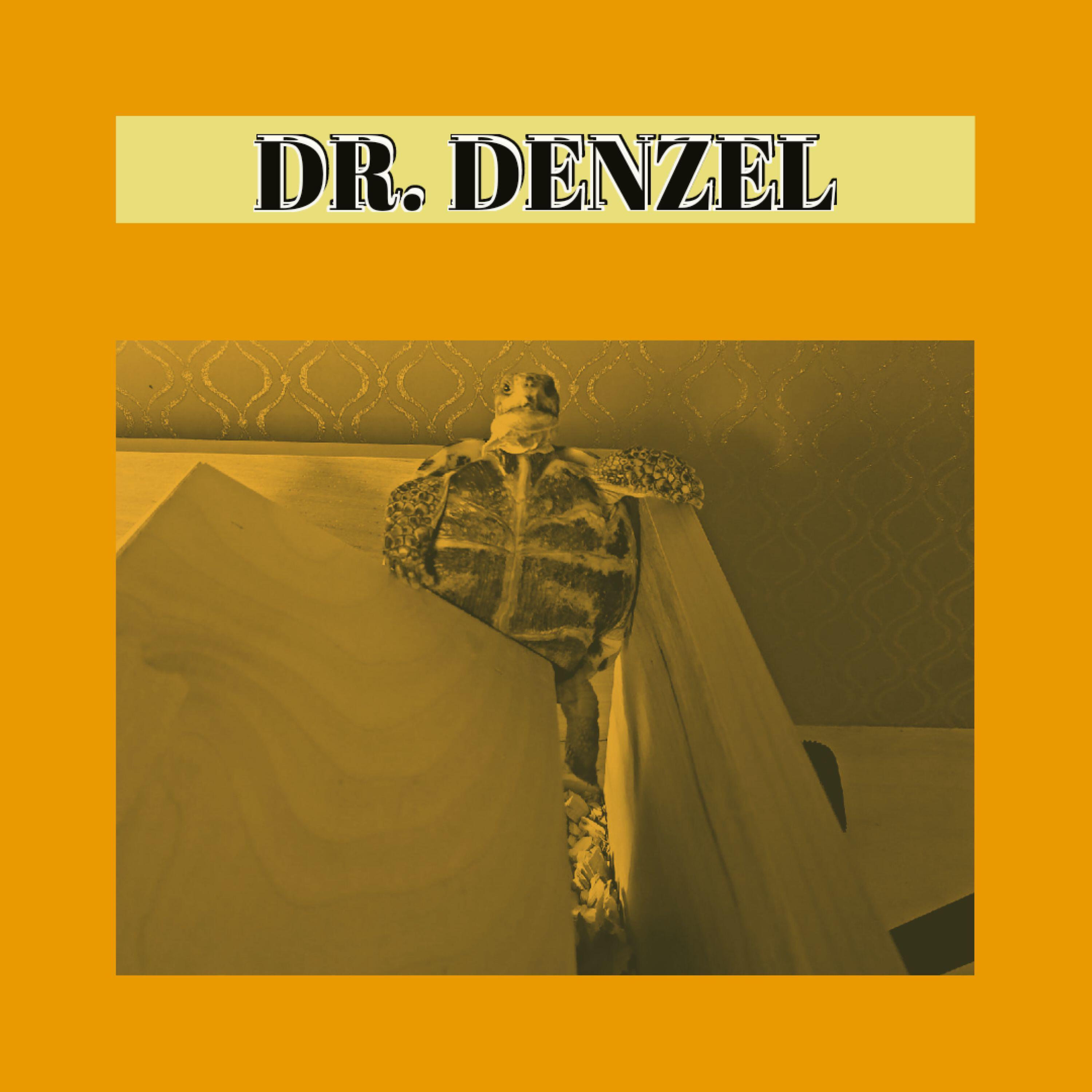 Альбом Наблюдатель исполнителя Dr. Denzel