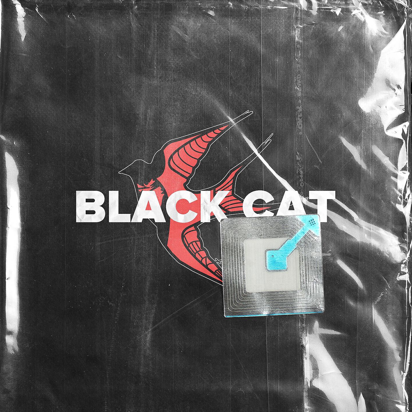 BLACK CAT