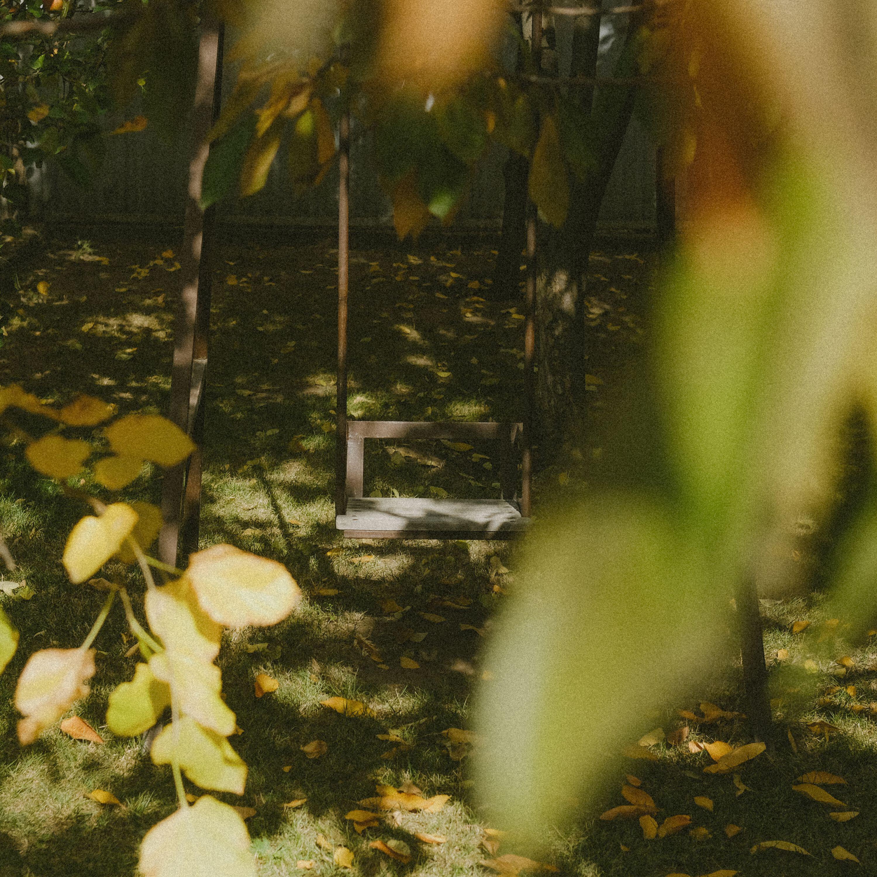 Distance