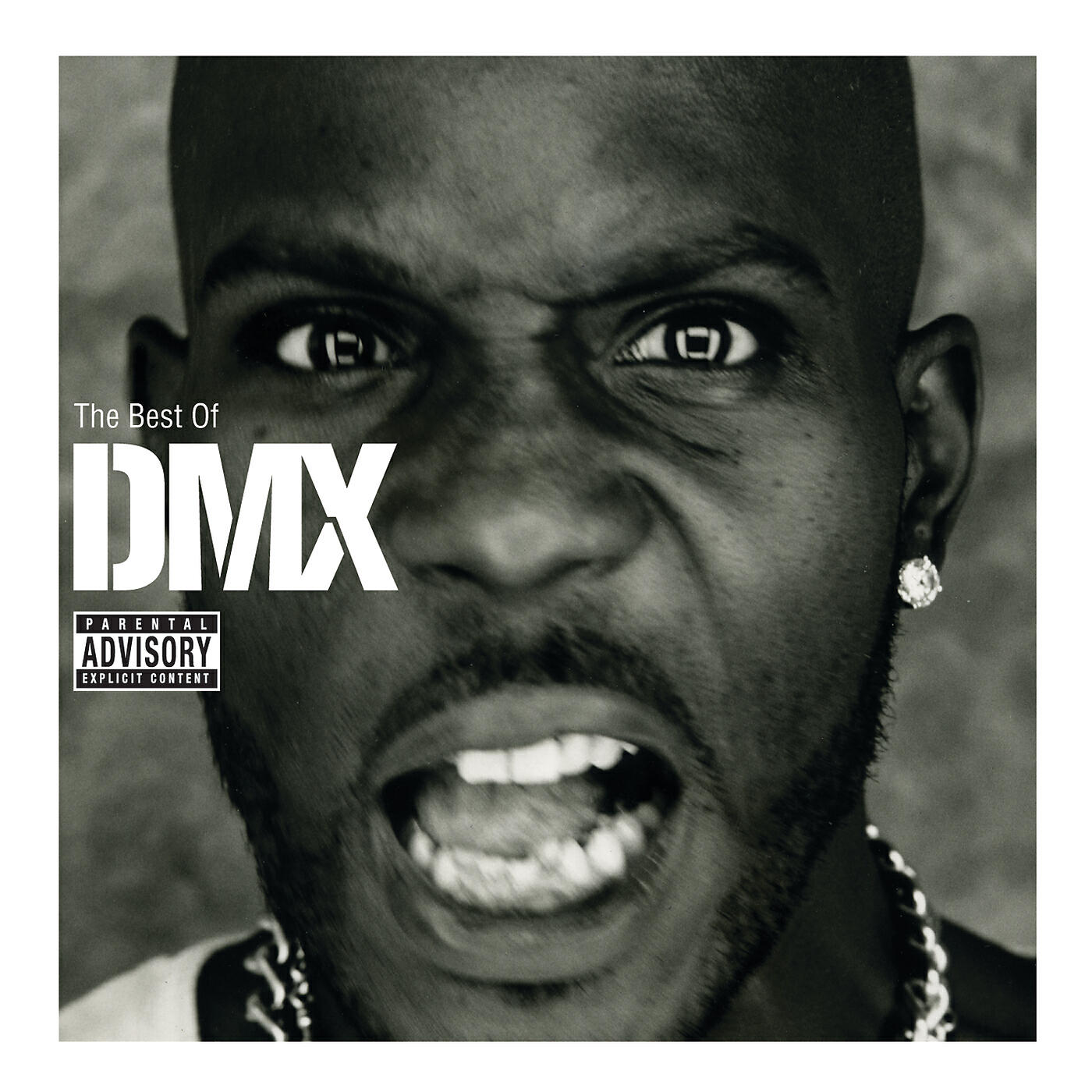 DMX, Sheek - Get At Me Dog