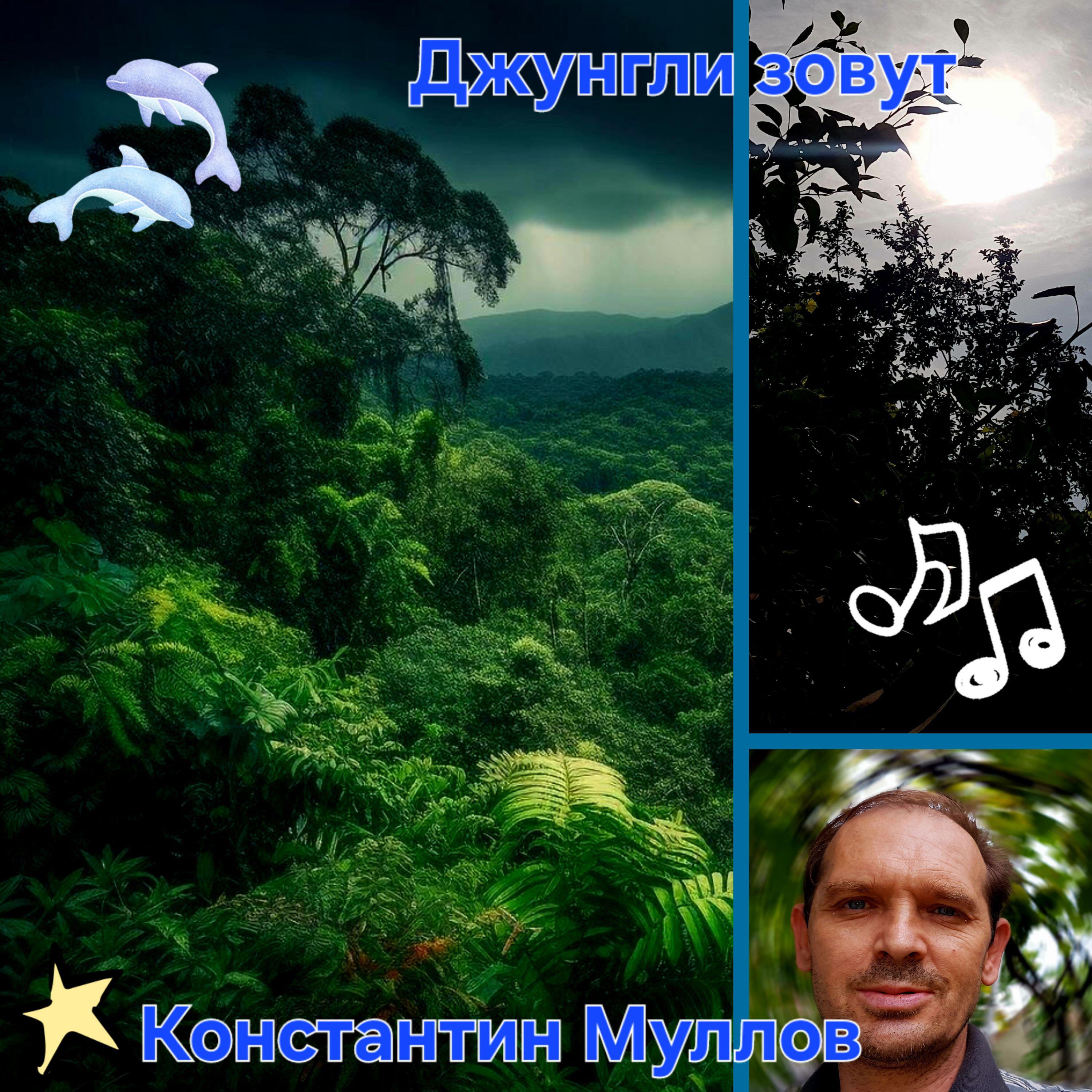Джунгли зовут