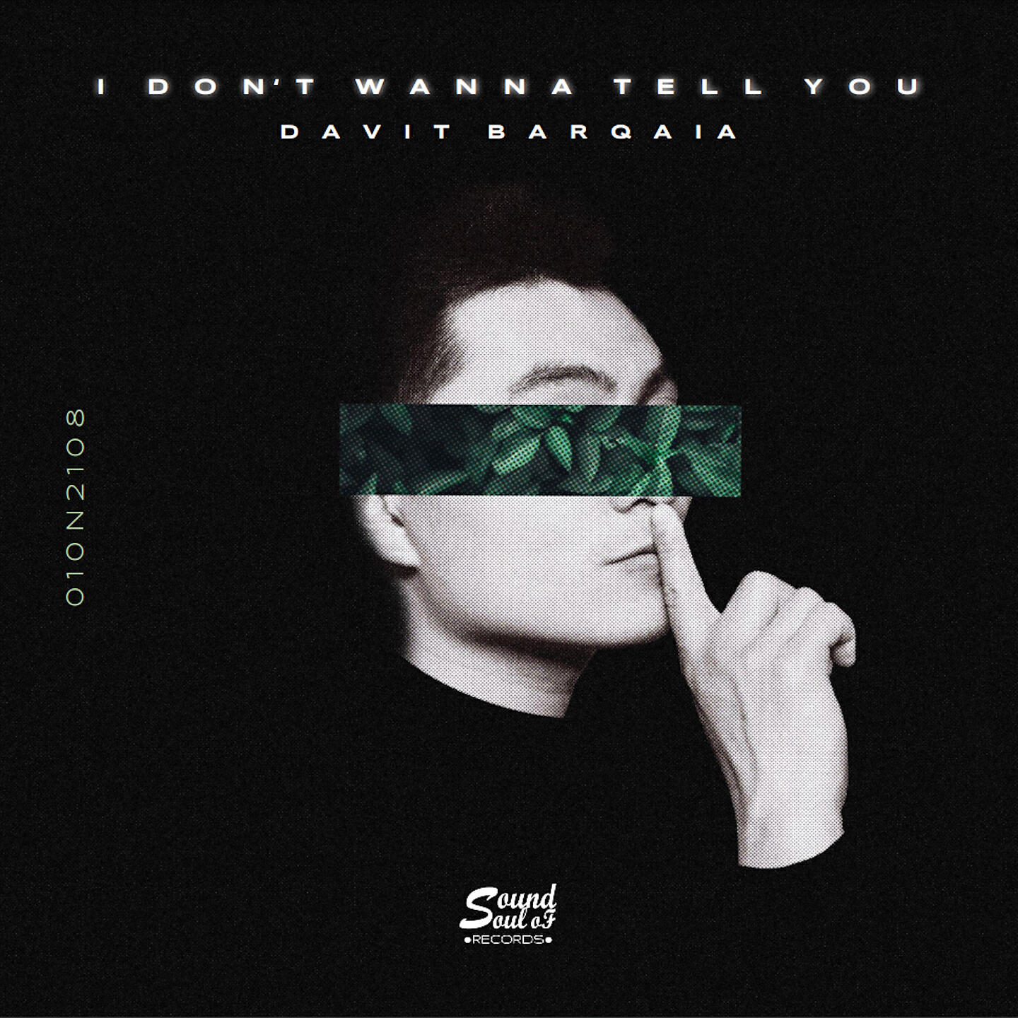 Davit Barqaia - I don't wanna tell you