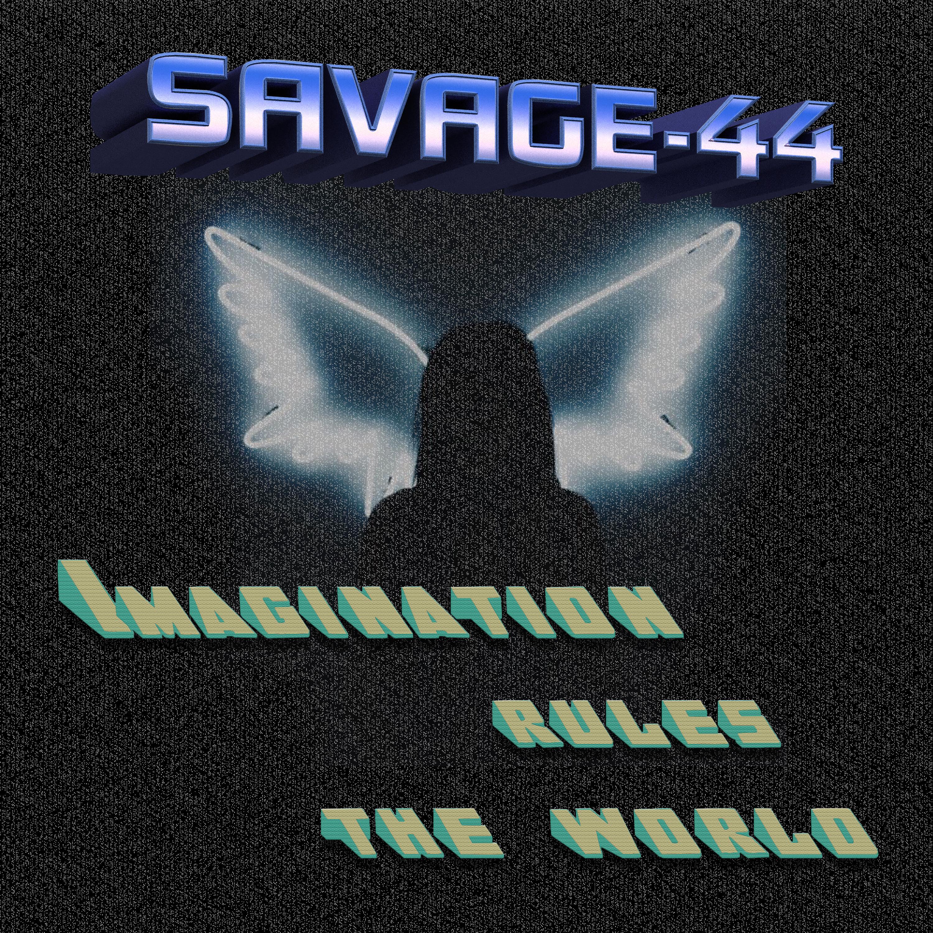 Imagination rules the world