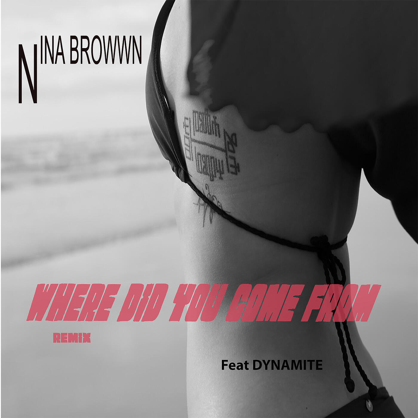Альбом Where Did You Come from (Remix) исполнителя Dynamite, Nina Browwn