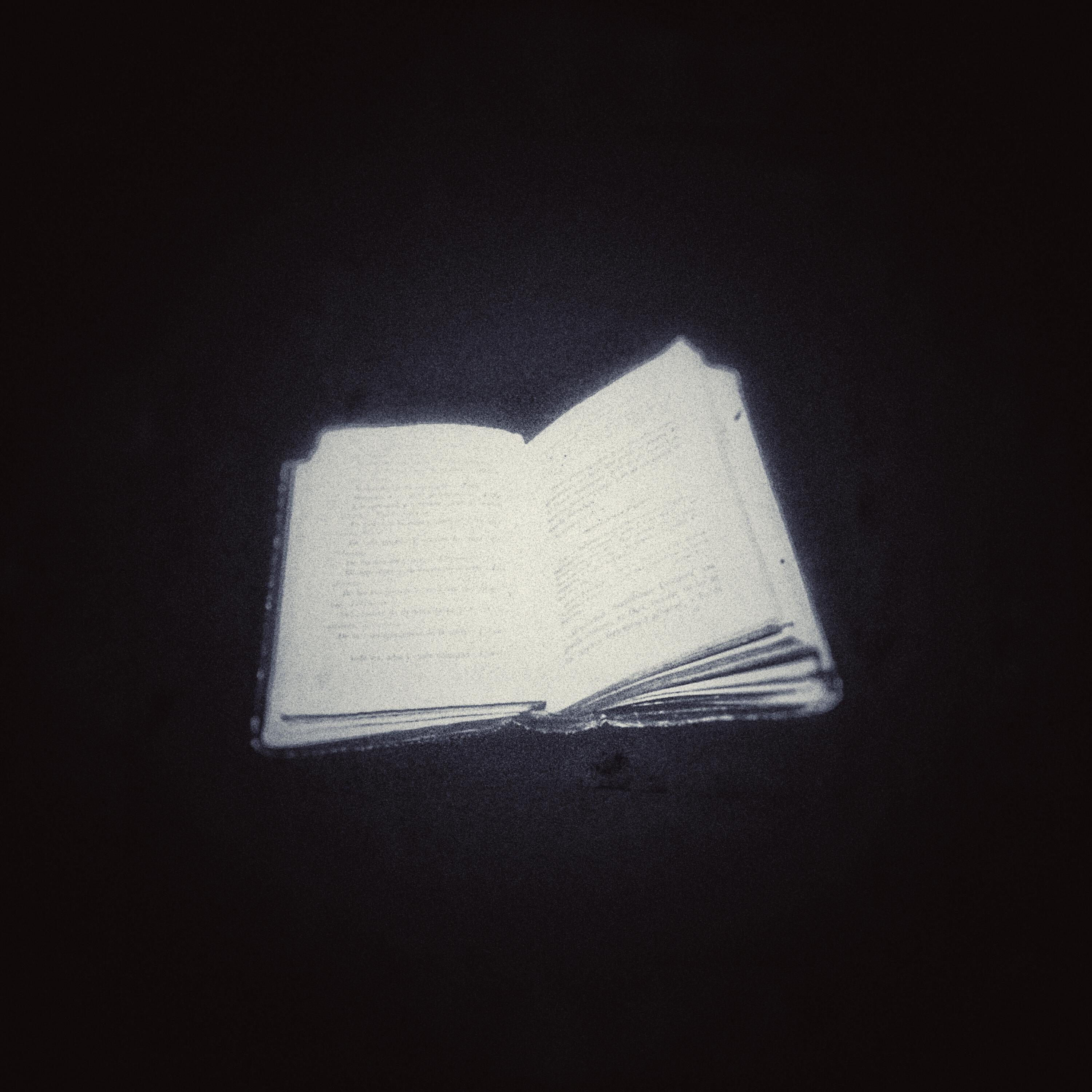 Я несу книгу Илая