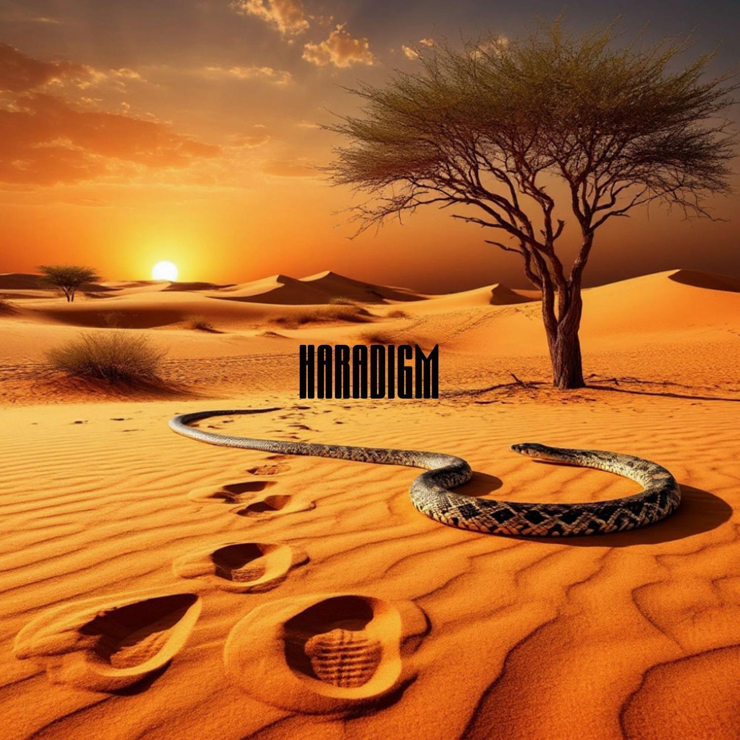 Desert