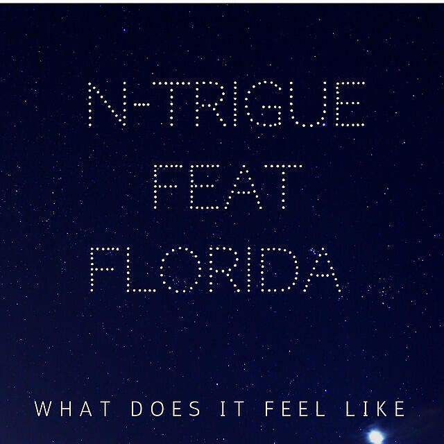 What Does It Feel Like (feat. Flo Rida)
