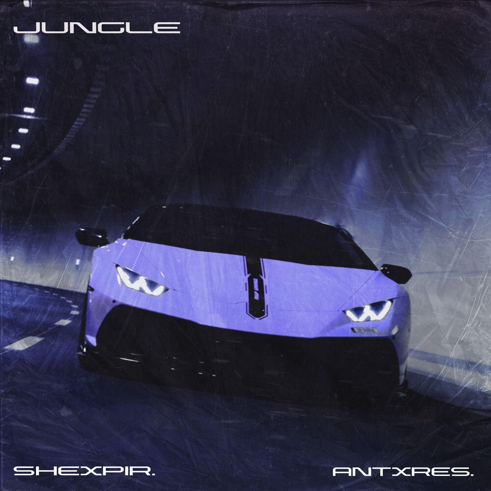 Jungle