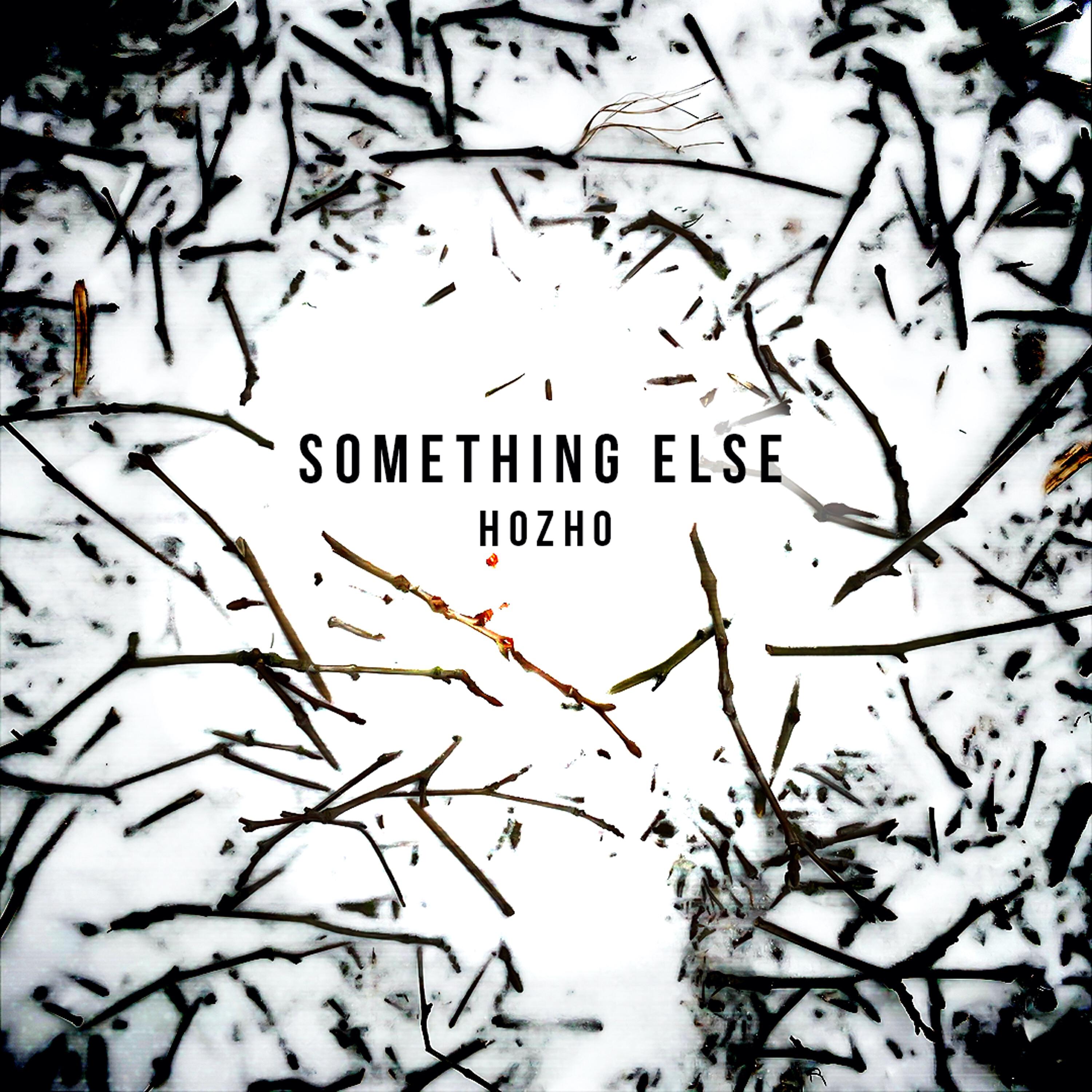 Альбом Something Else исполнителя Hozho