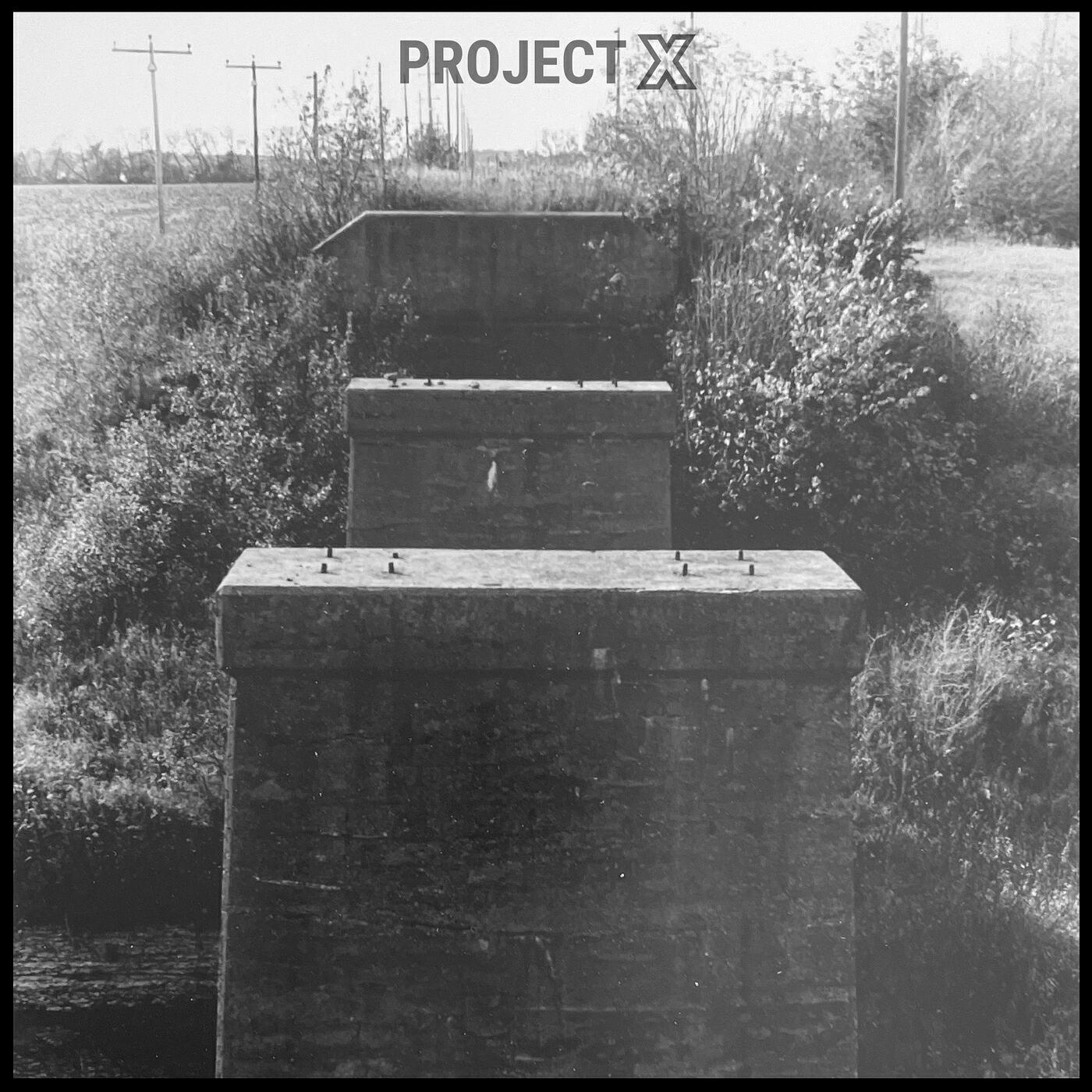 Project X