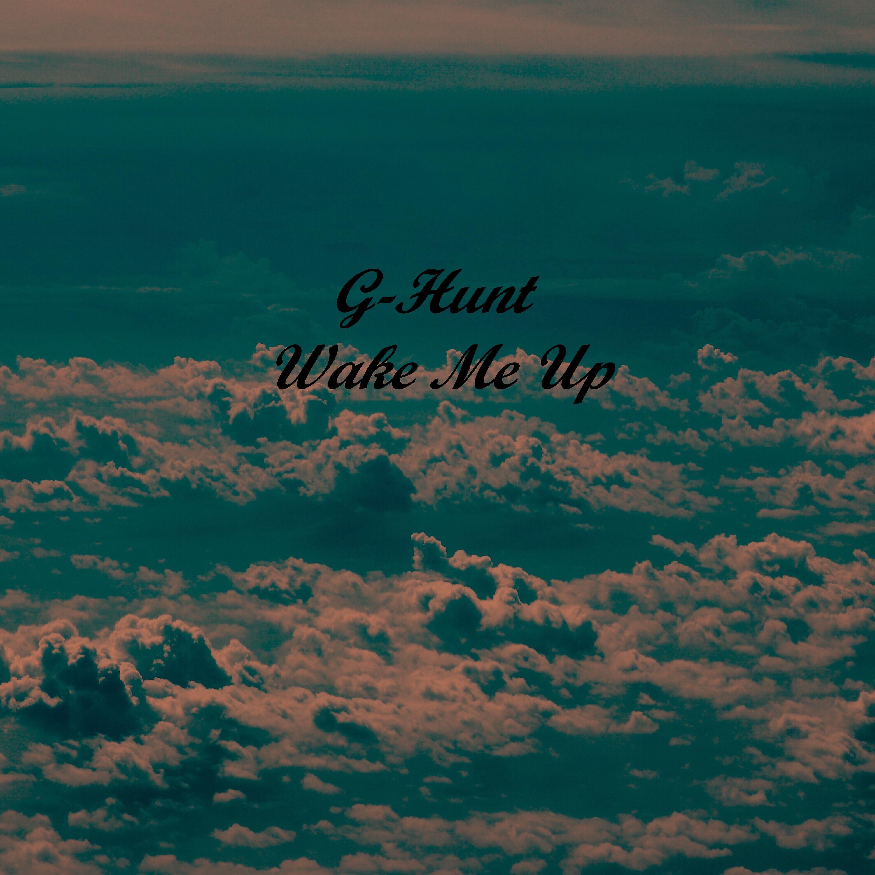 Wake Me Up