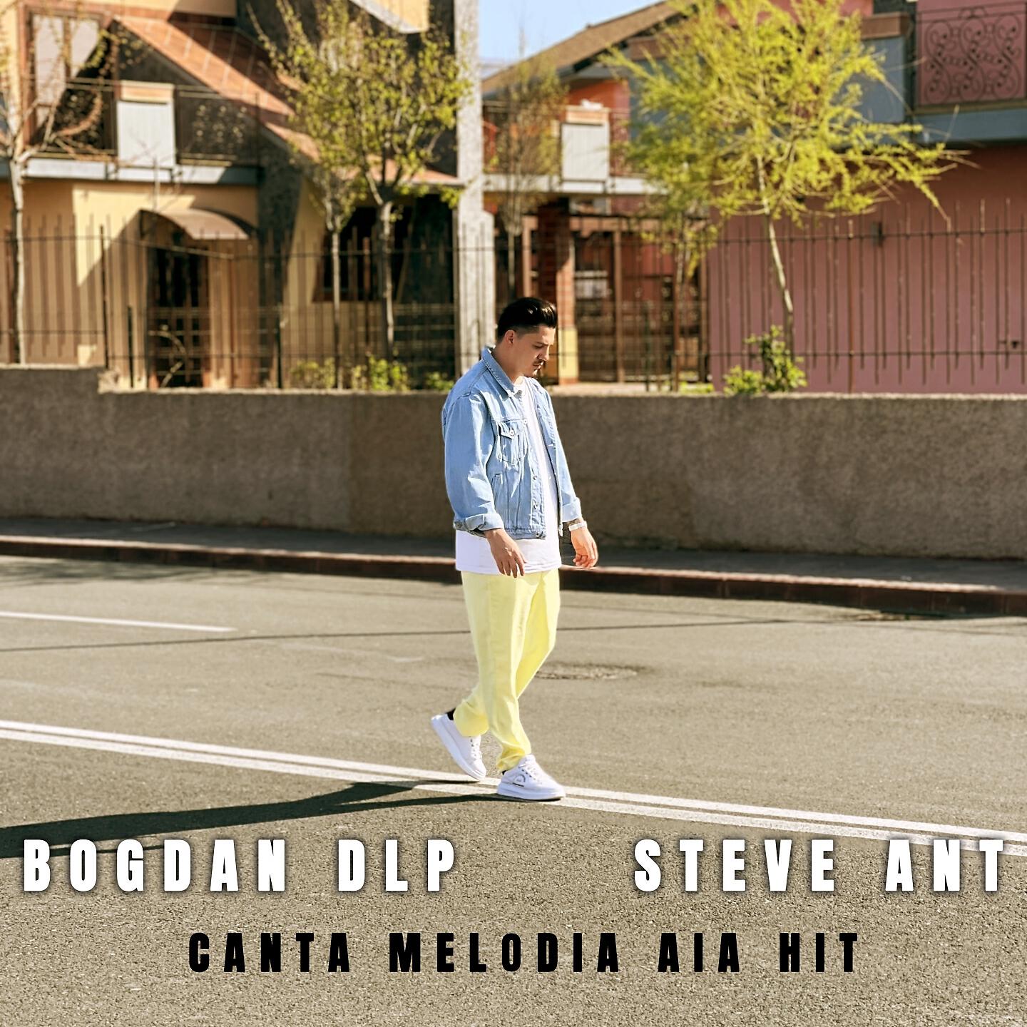 Альбом Canta Melodia Aia Hit исполнителя Bogdan DLP, STEVE ANT