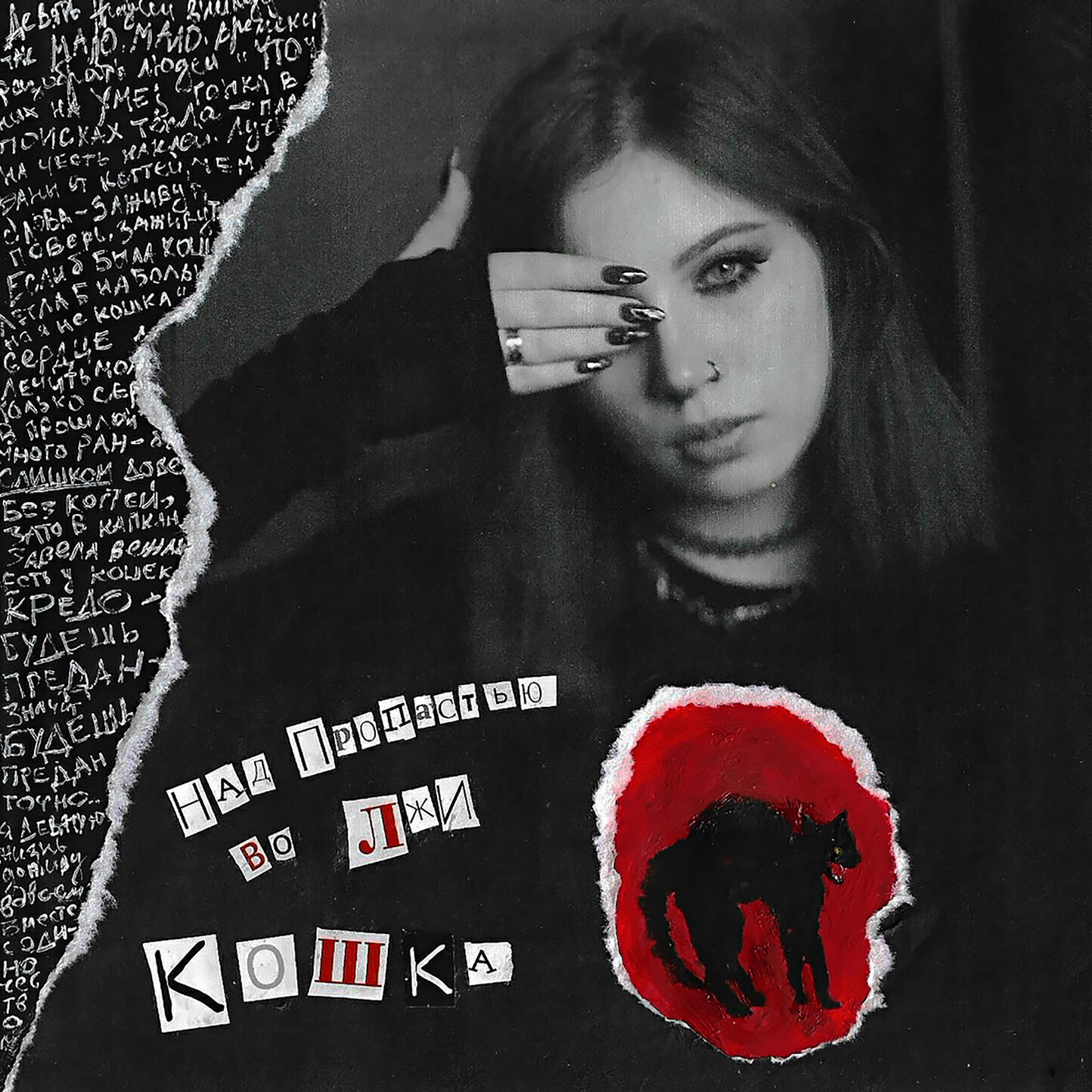 кошка