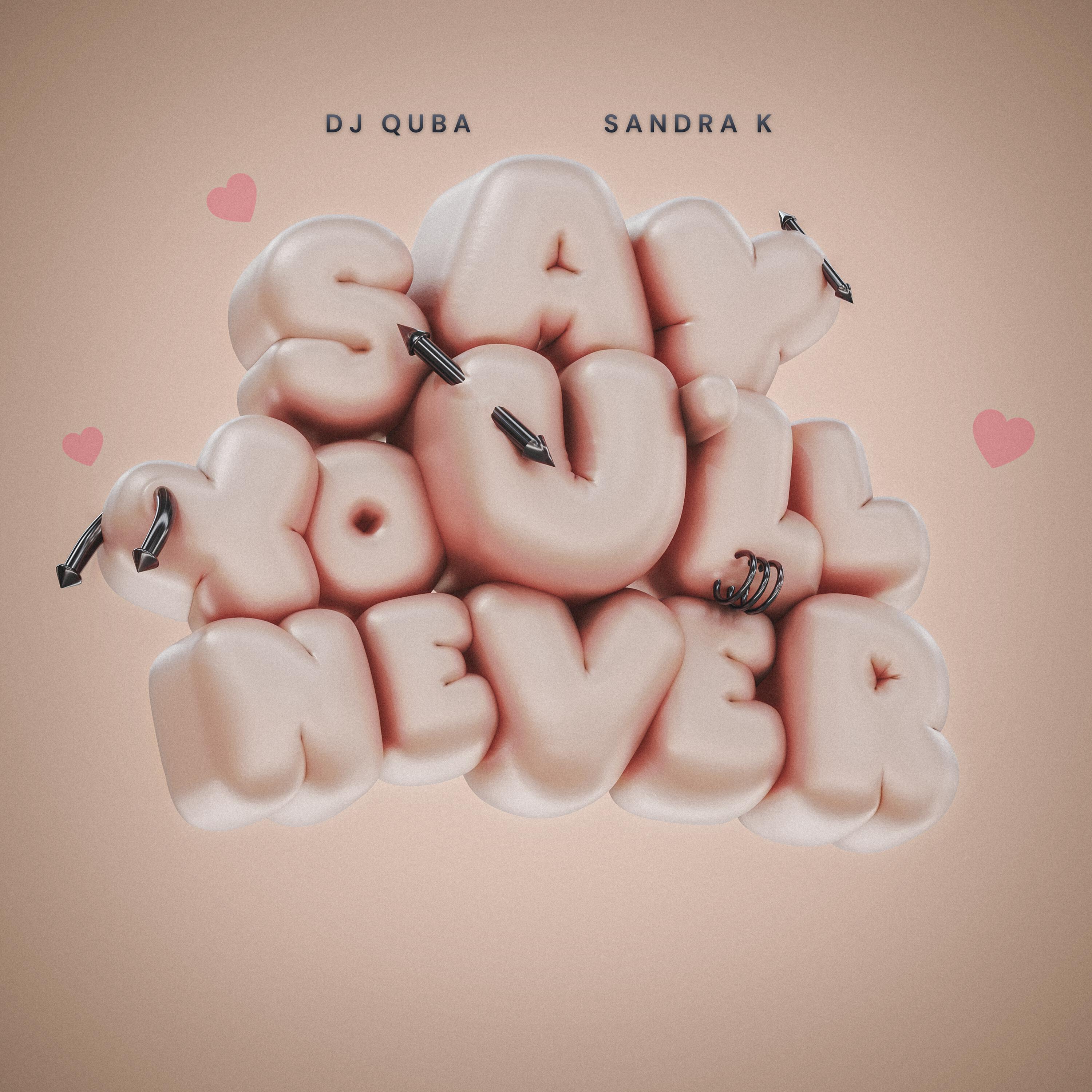 Say You'll Never