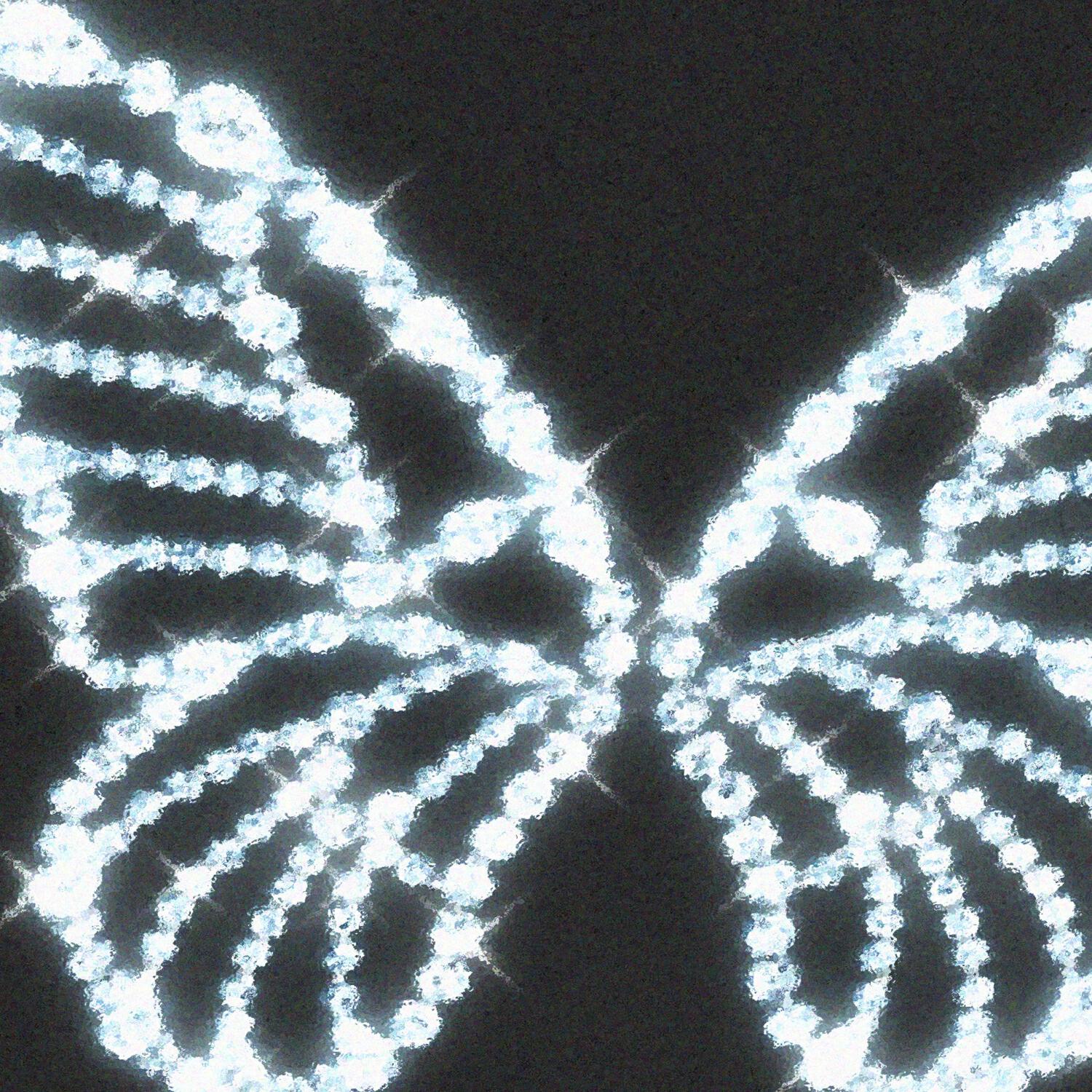 Butterfly Freestyle