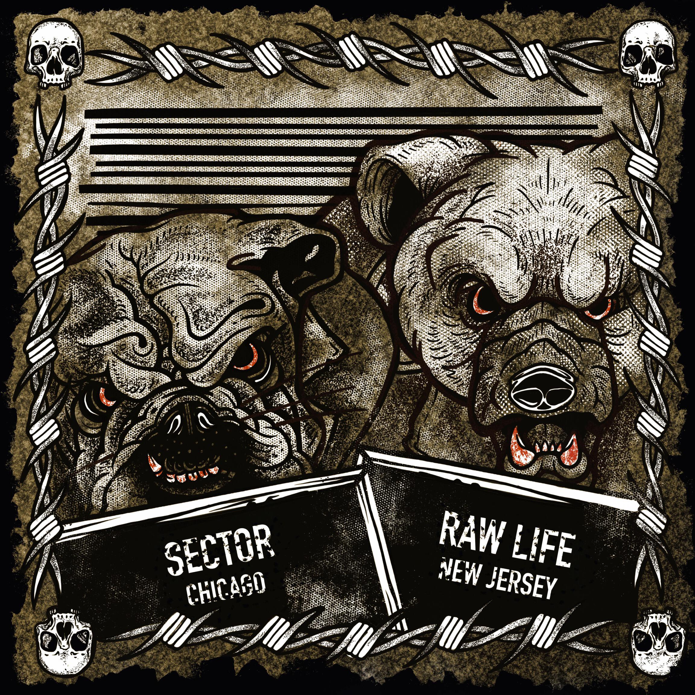 Sector (Chicago) / Raw Life (New Jersey)