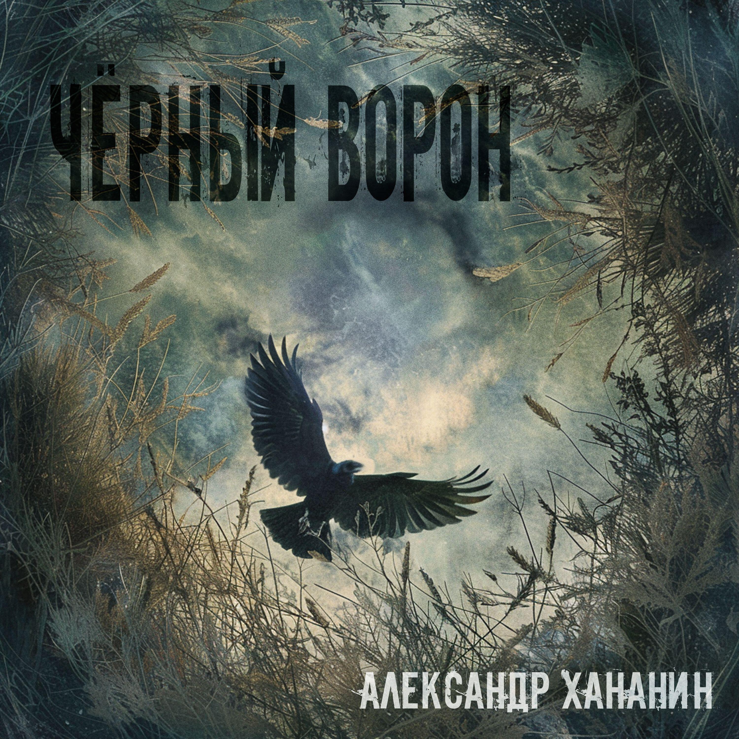 Черный ворон