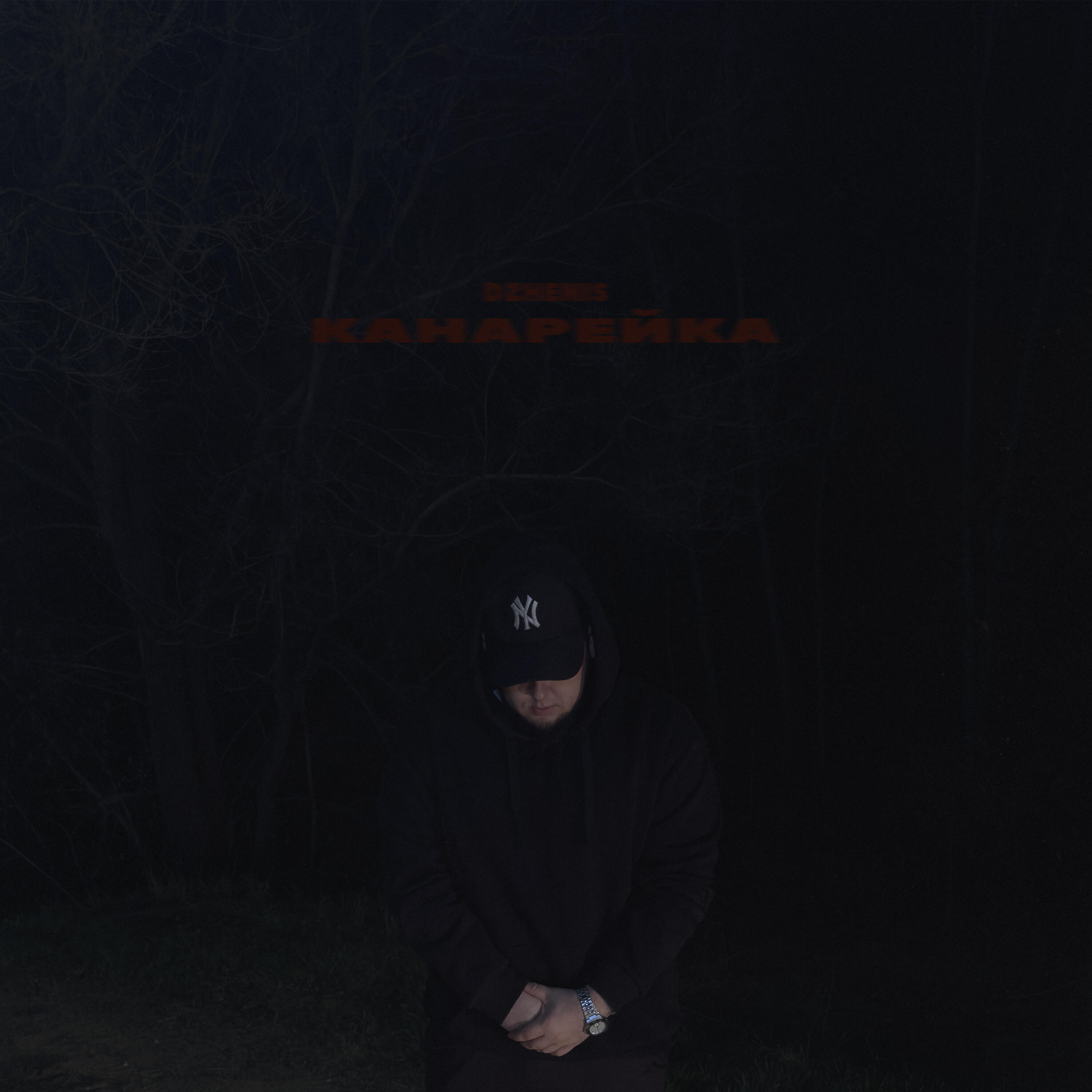Канарейка