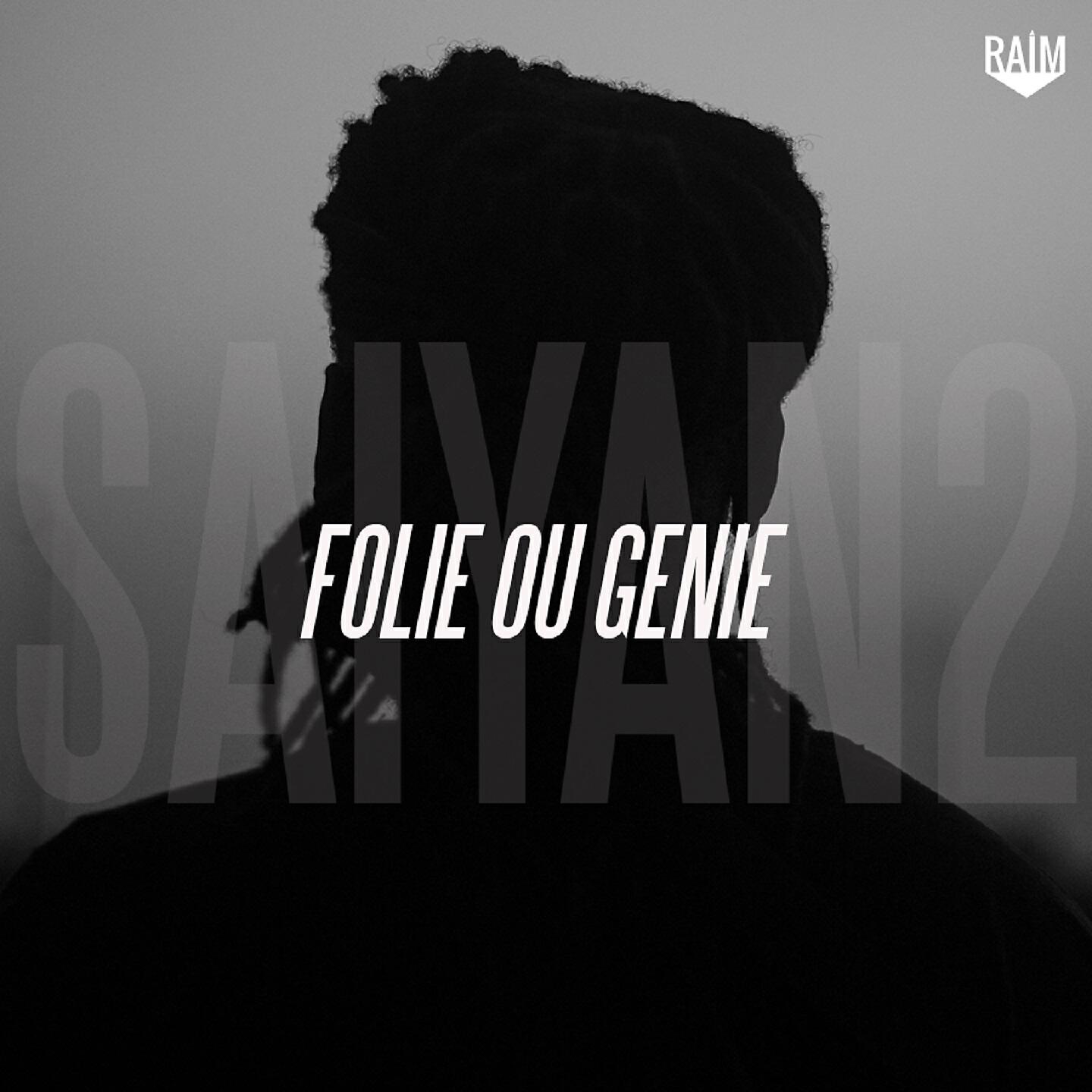 Folie ou genie