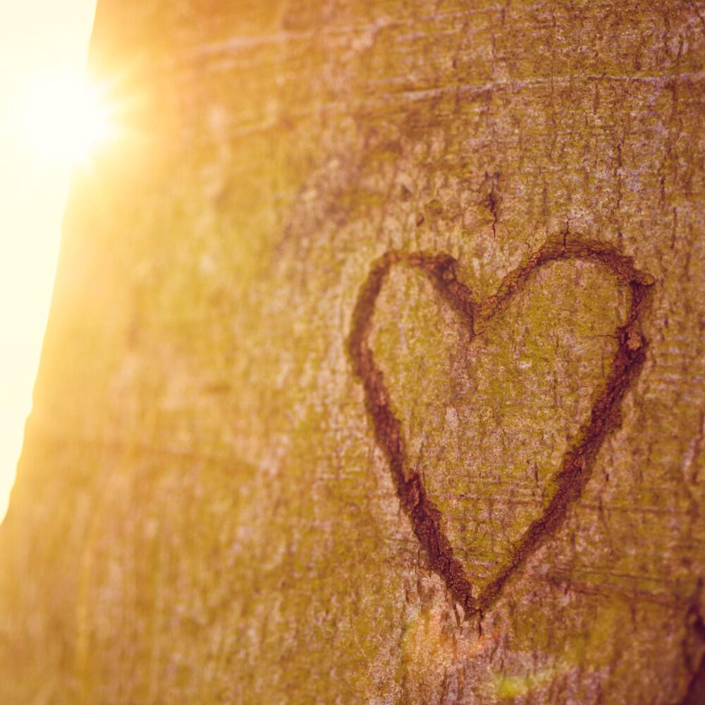 Liebe