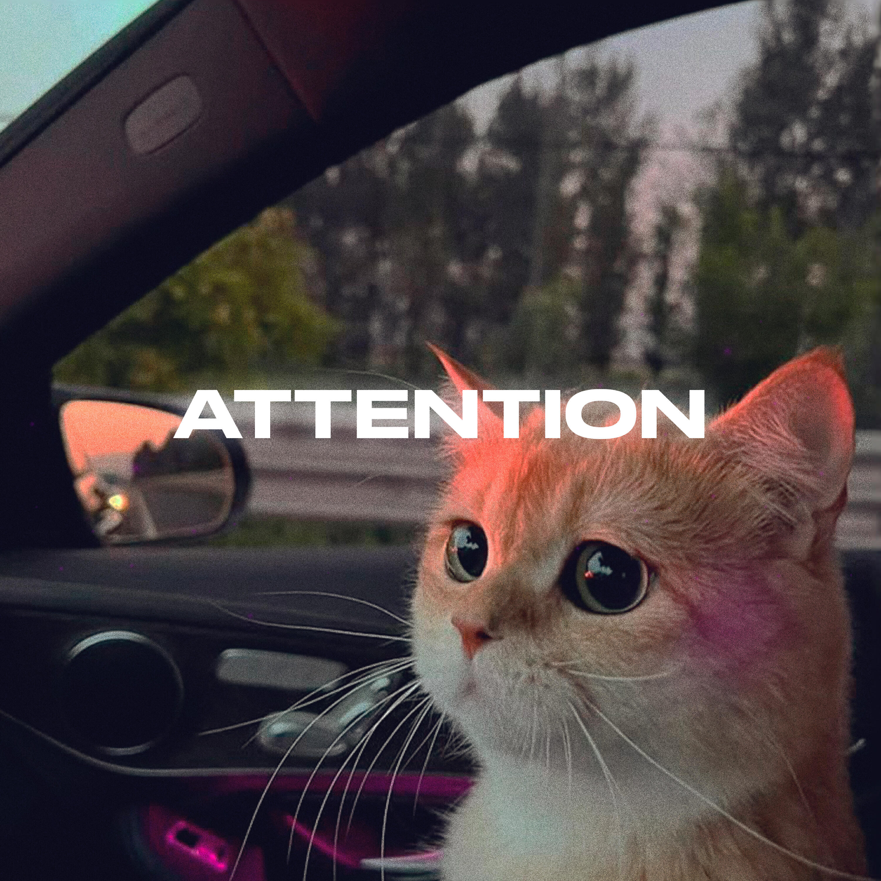 Альбом Attention исполнителя Rendow, ISVNBITOV