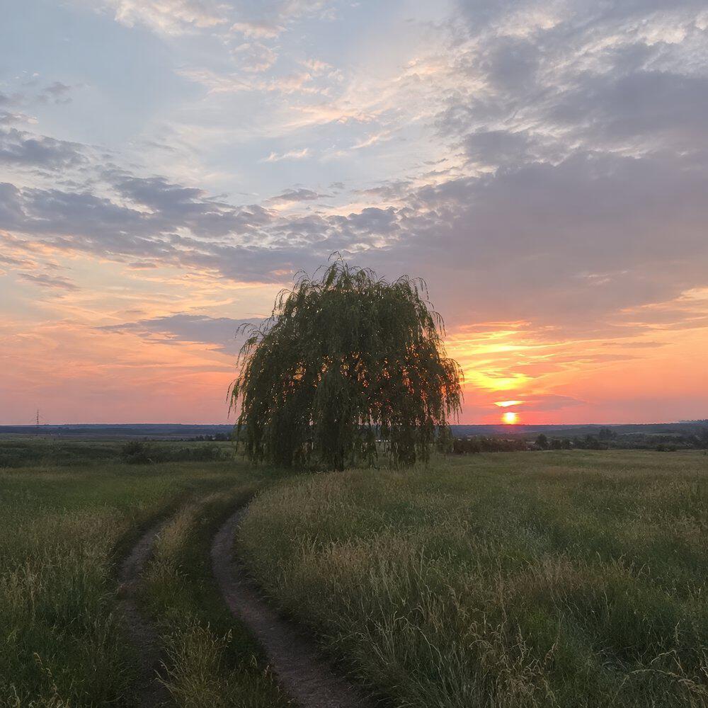 Альбом Лишь раз исполнителя INSTASAMKA