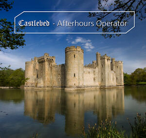 Castlebed