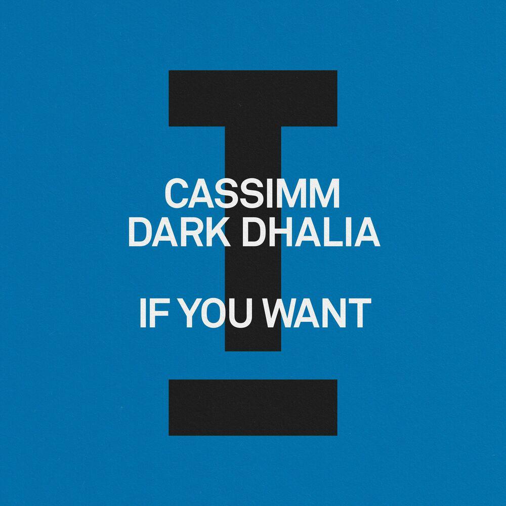 Альбом If You Want исполнителя Cassimm, Dark Dhalia