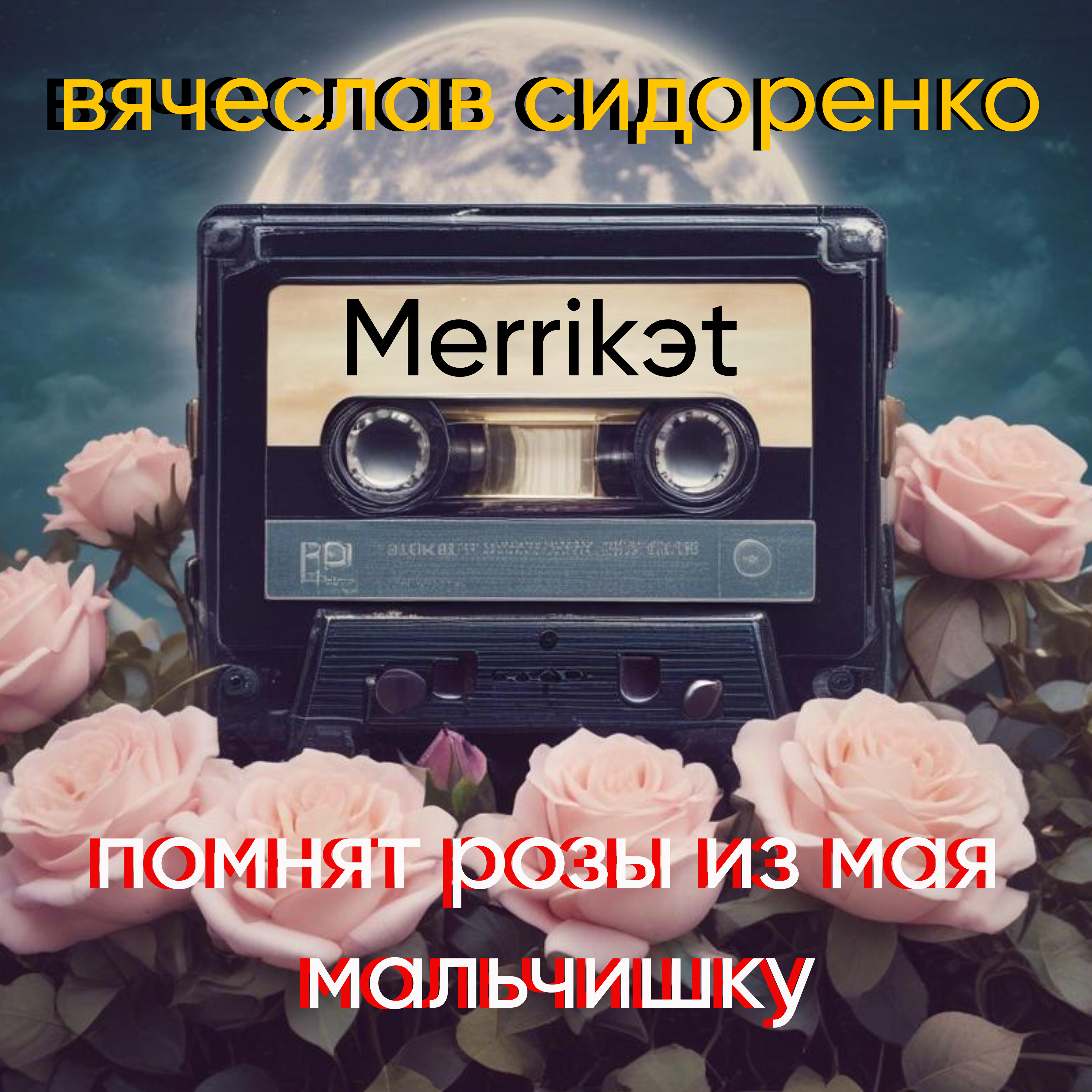 Помнят розы из мая мальчишку