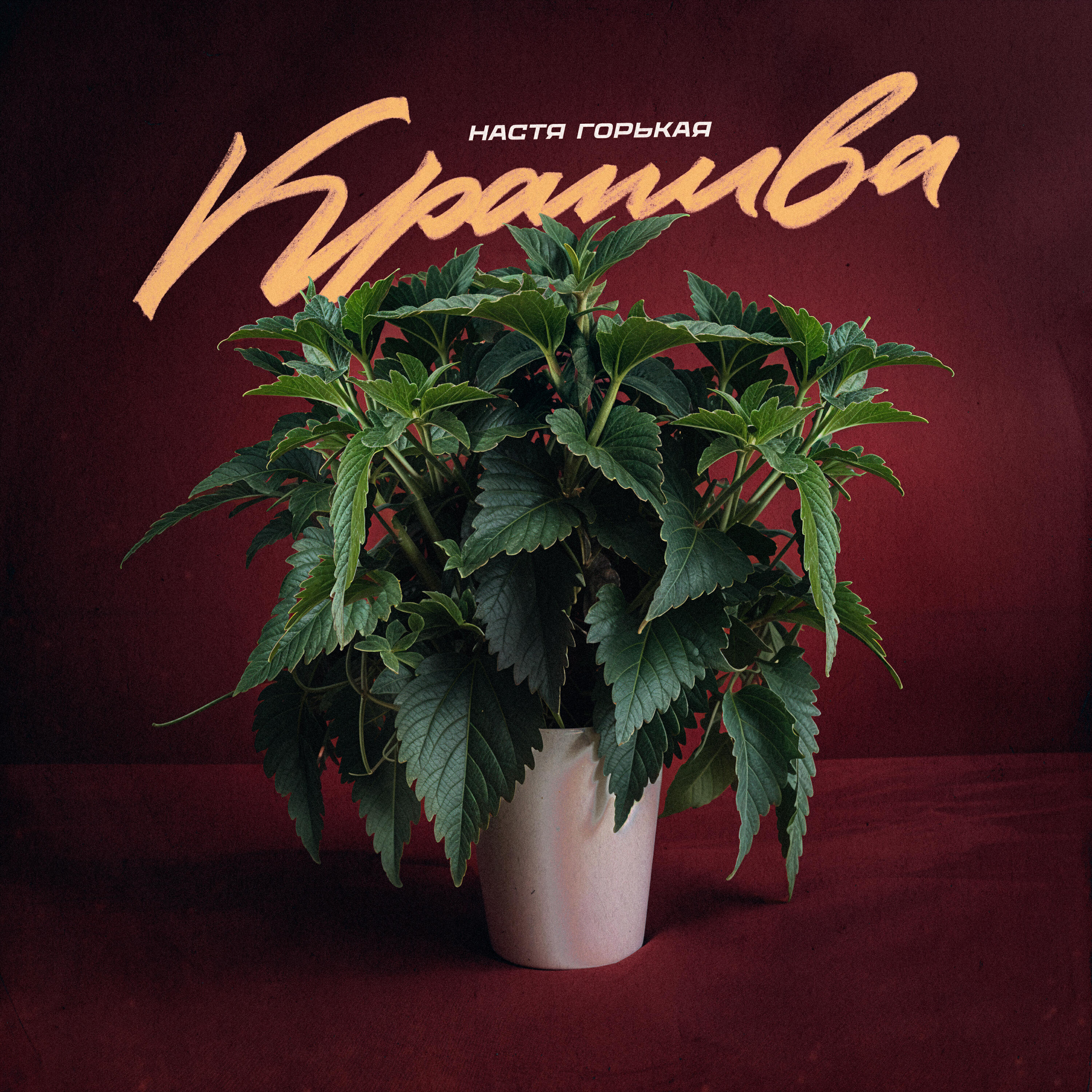 Крапива