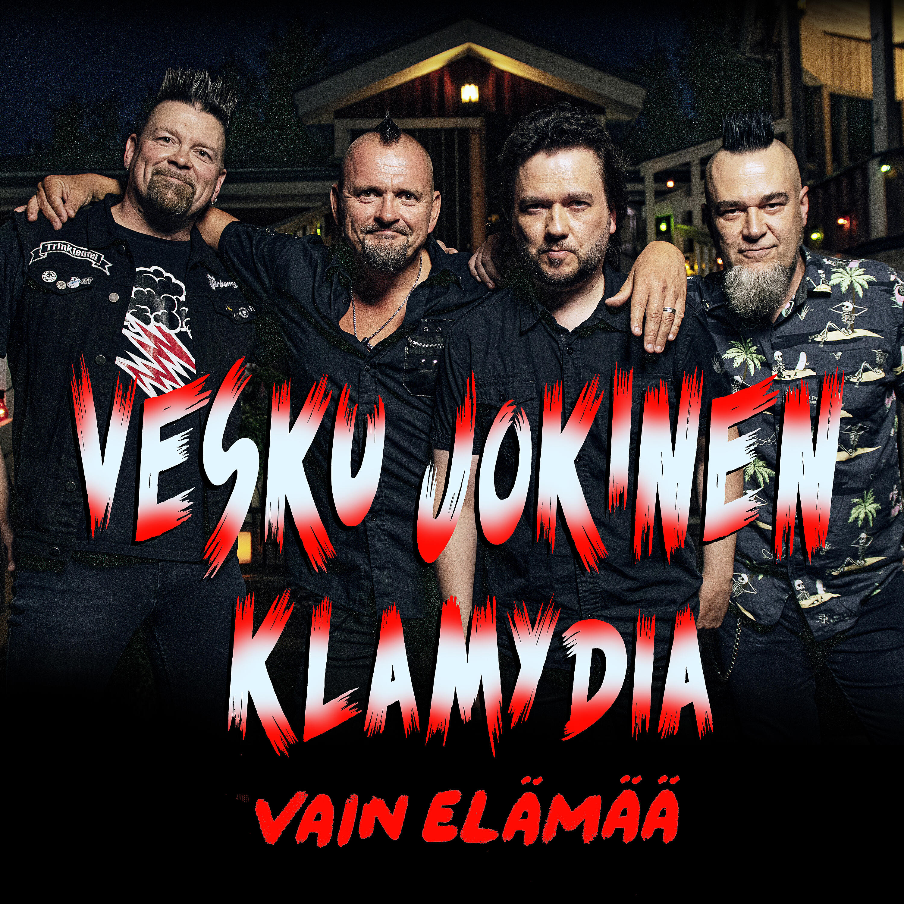Альбом Vain elämää исполнителя Klamydia, Vesku Jokinen