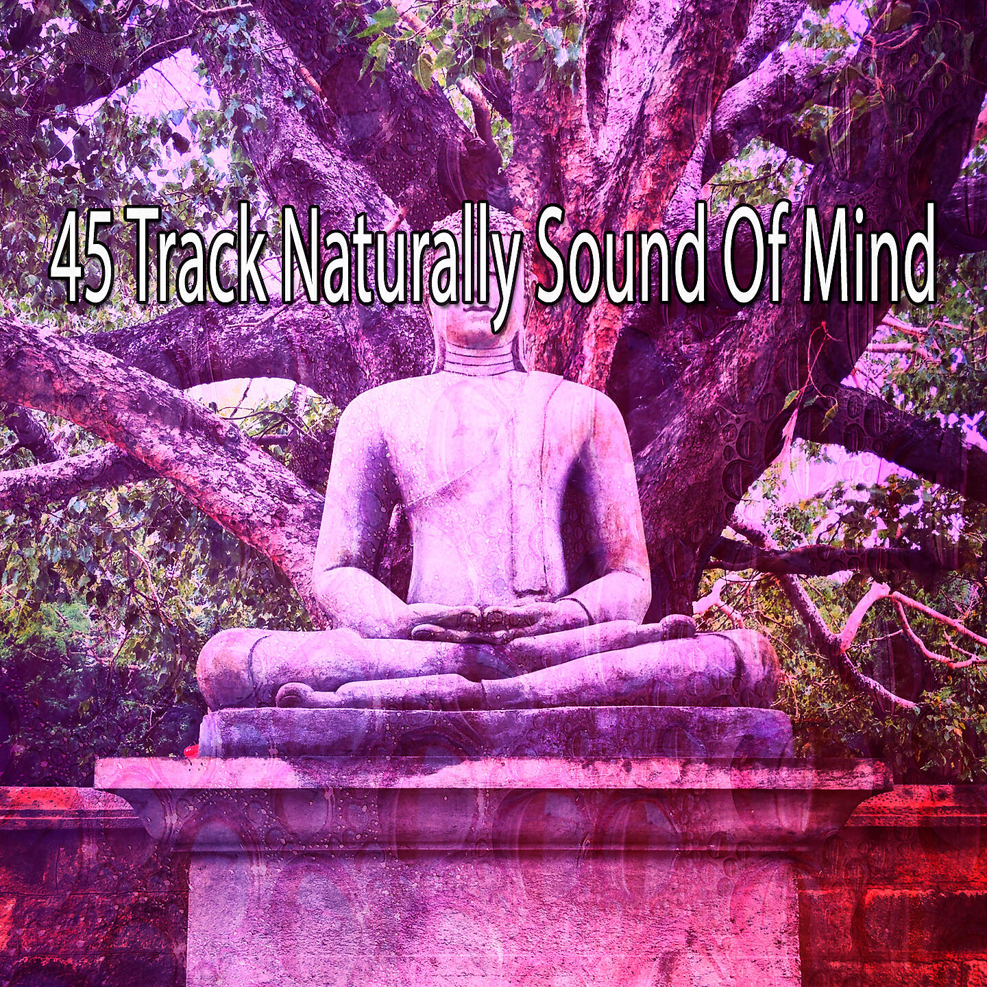 45 треков Naturally Sound Of Mind