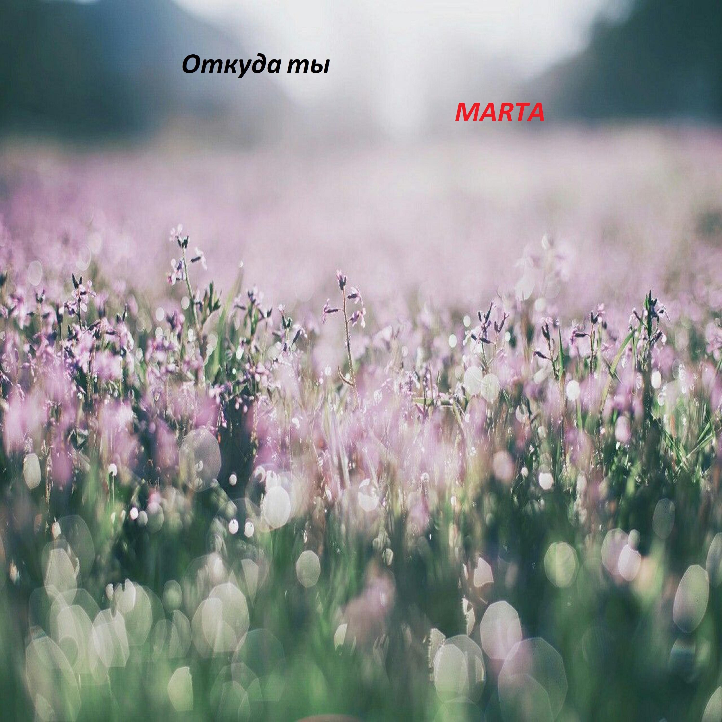 Откуда ты