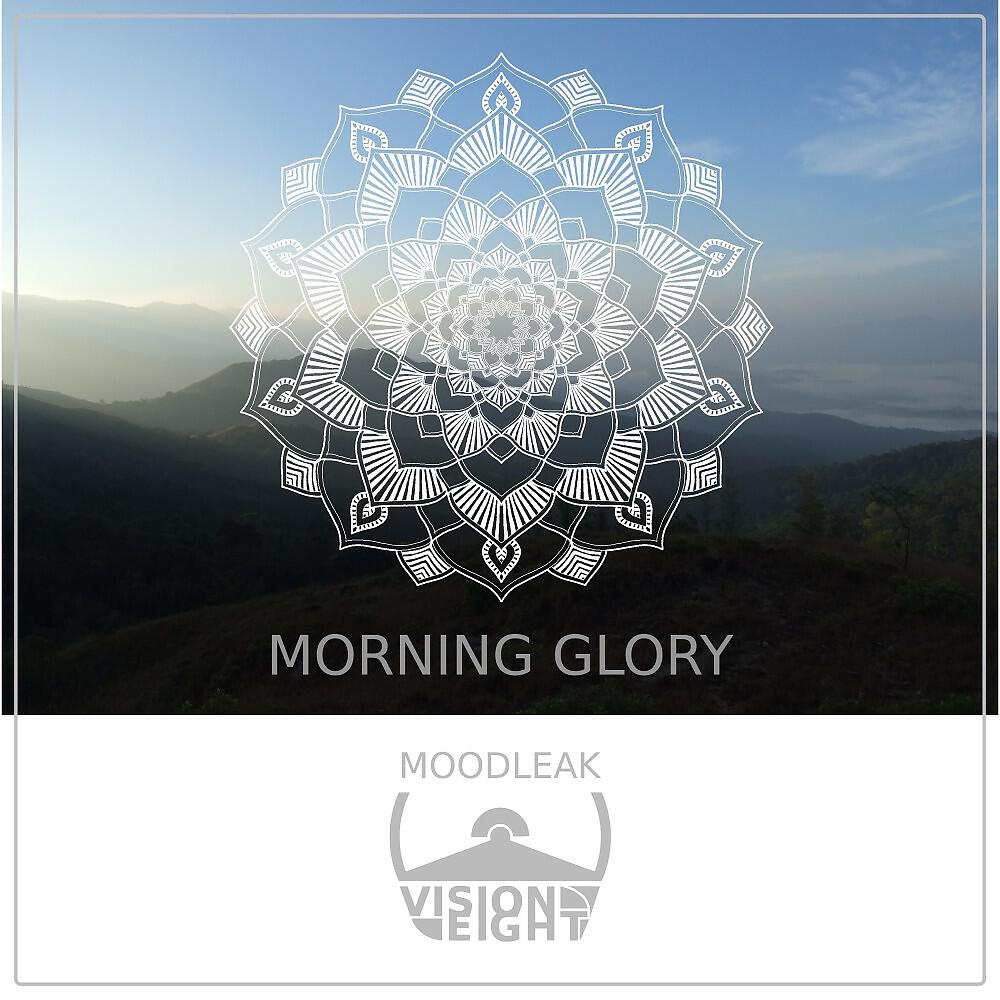 Альбом Morning Glory исполнителя Moodleak, Visioneight