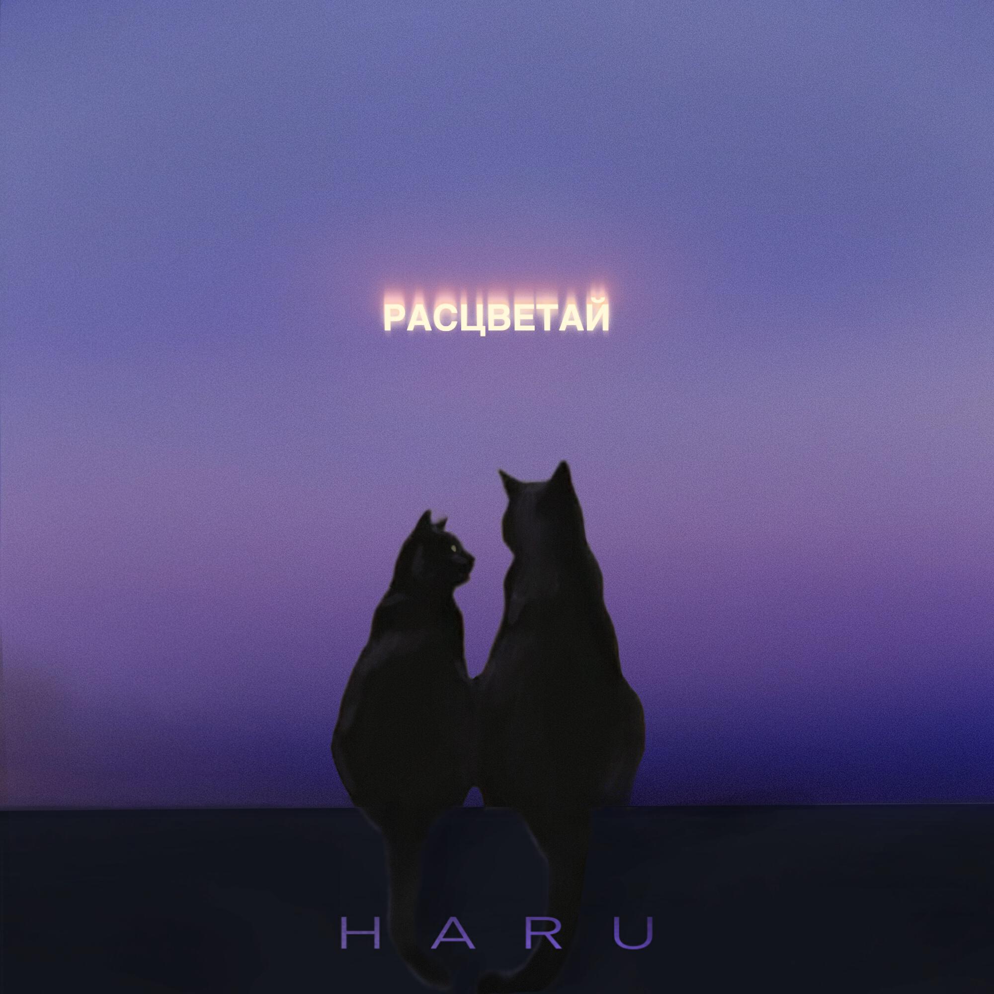 Альбом Расцветай исполнителя HARU