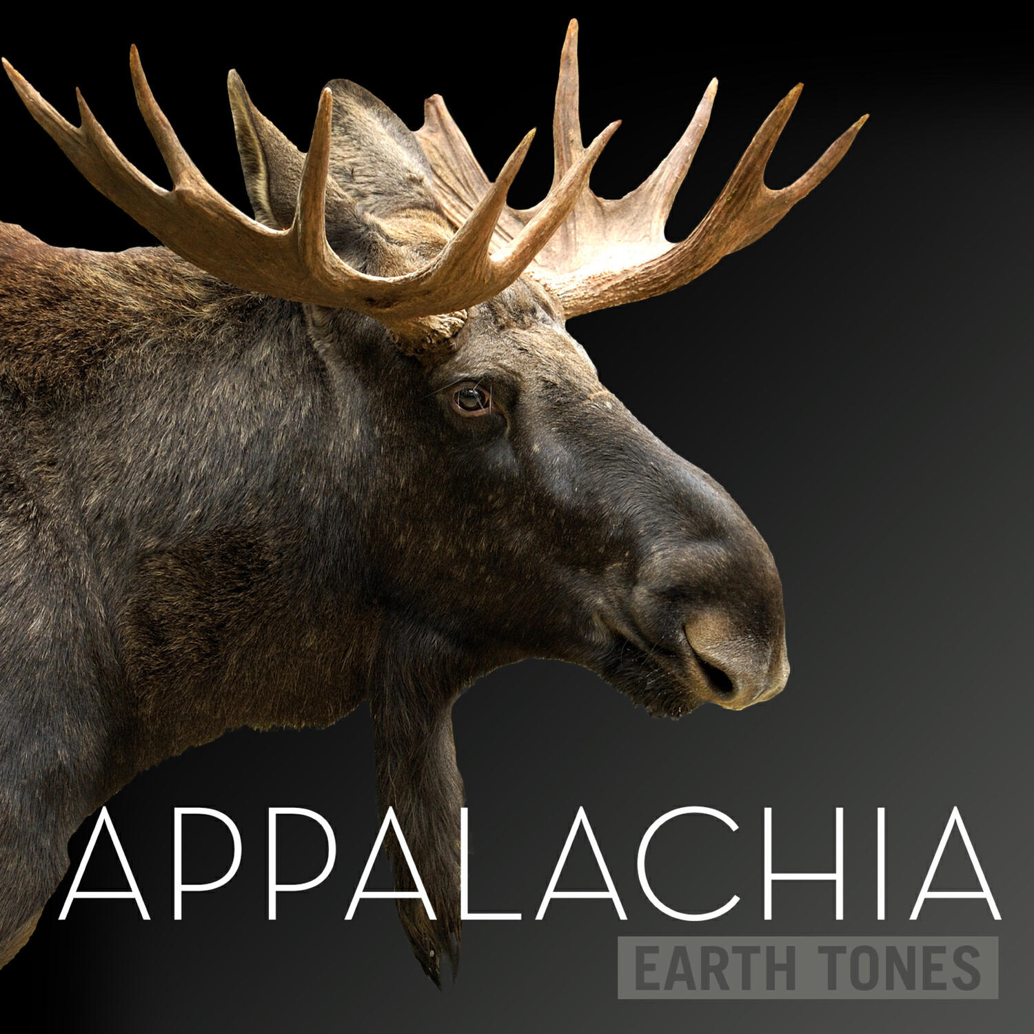 Альбом Earth Tones (Appalachia) исполнителя Bleeding Fingers