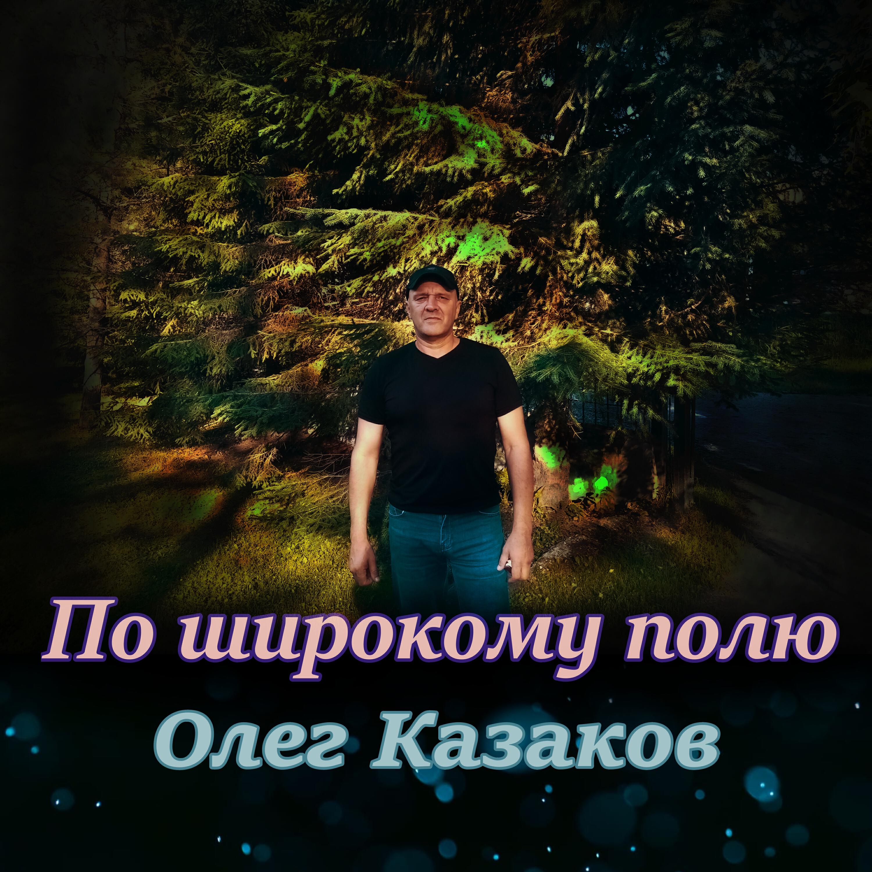 По широкому полю
