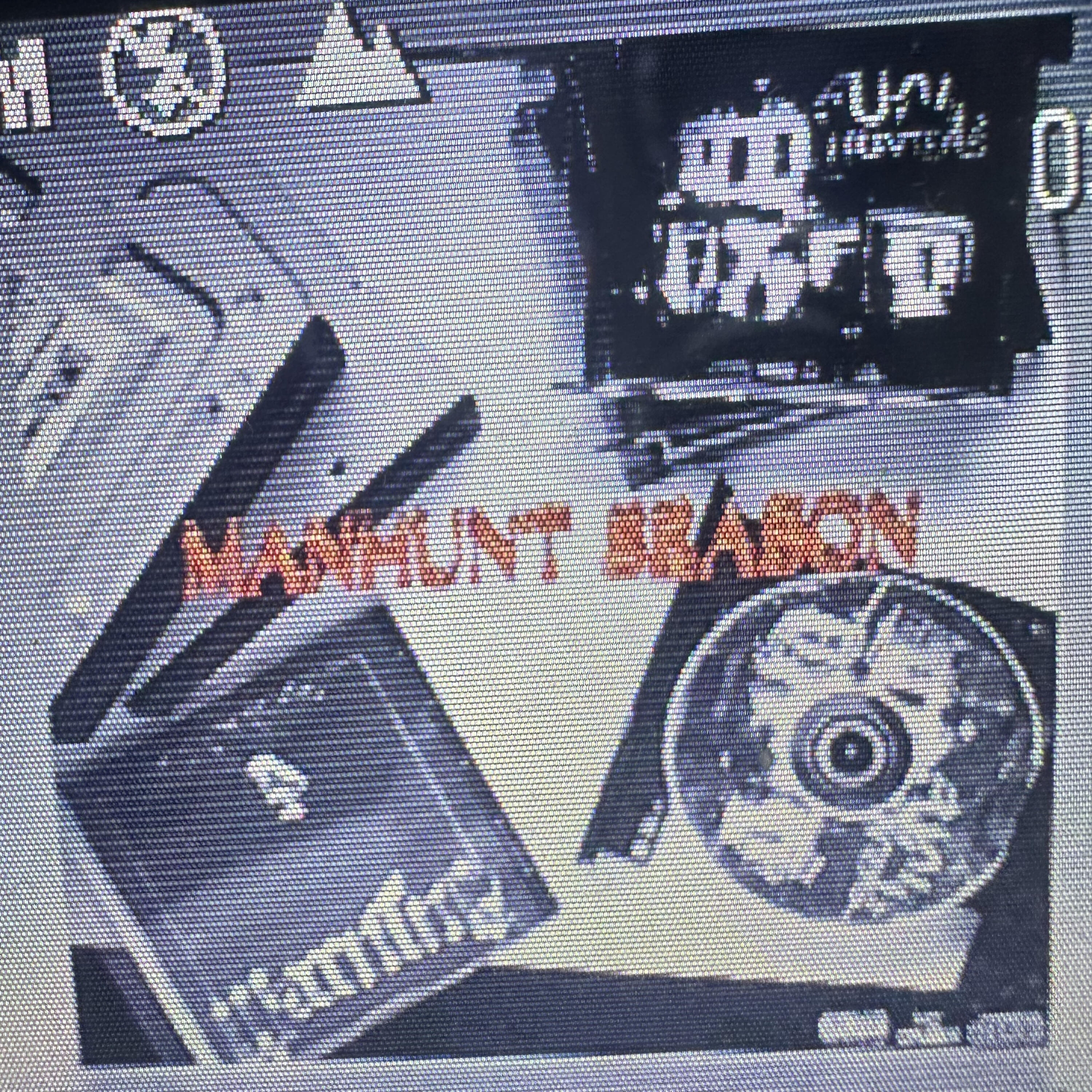 MANHUNT