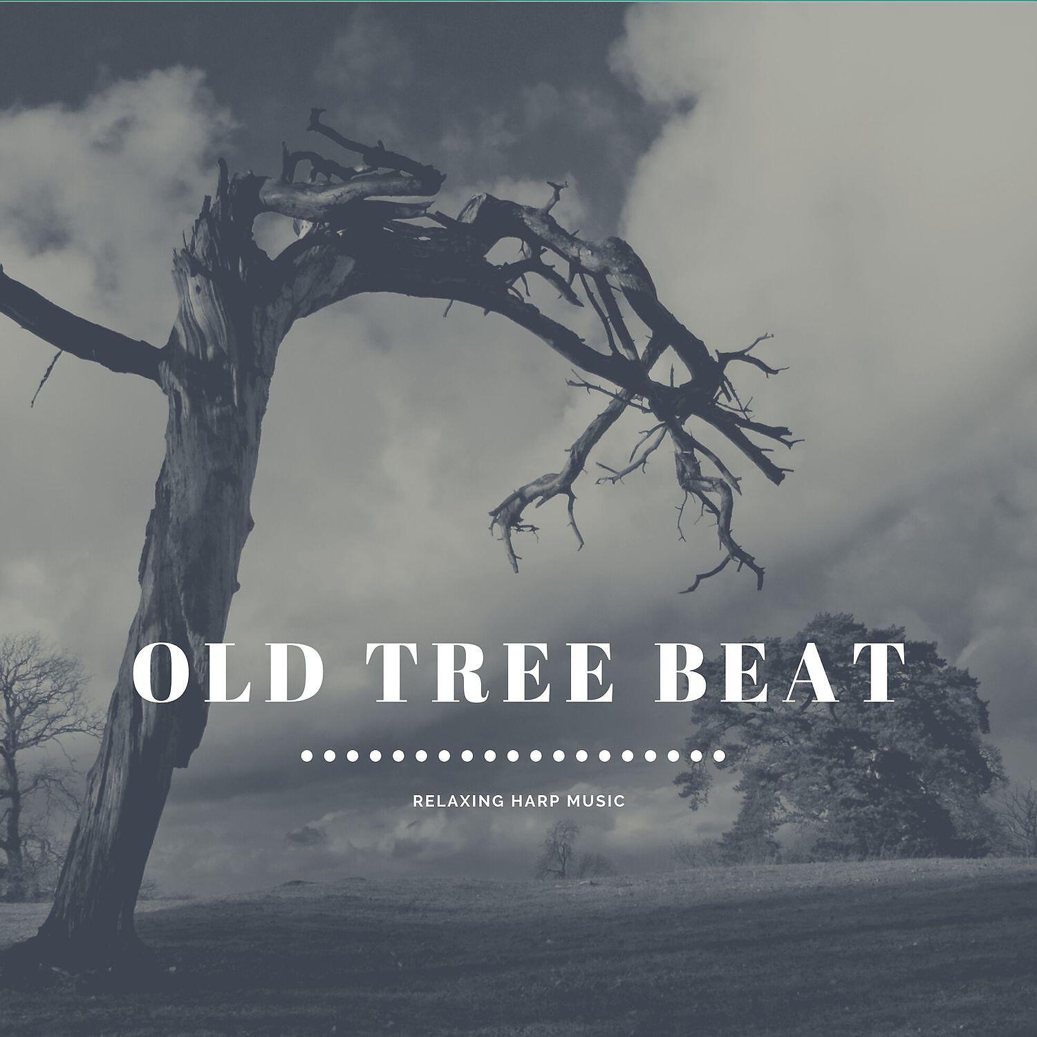 Old Tree Beat Mix - Relaxing Harp Music