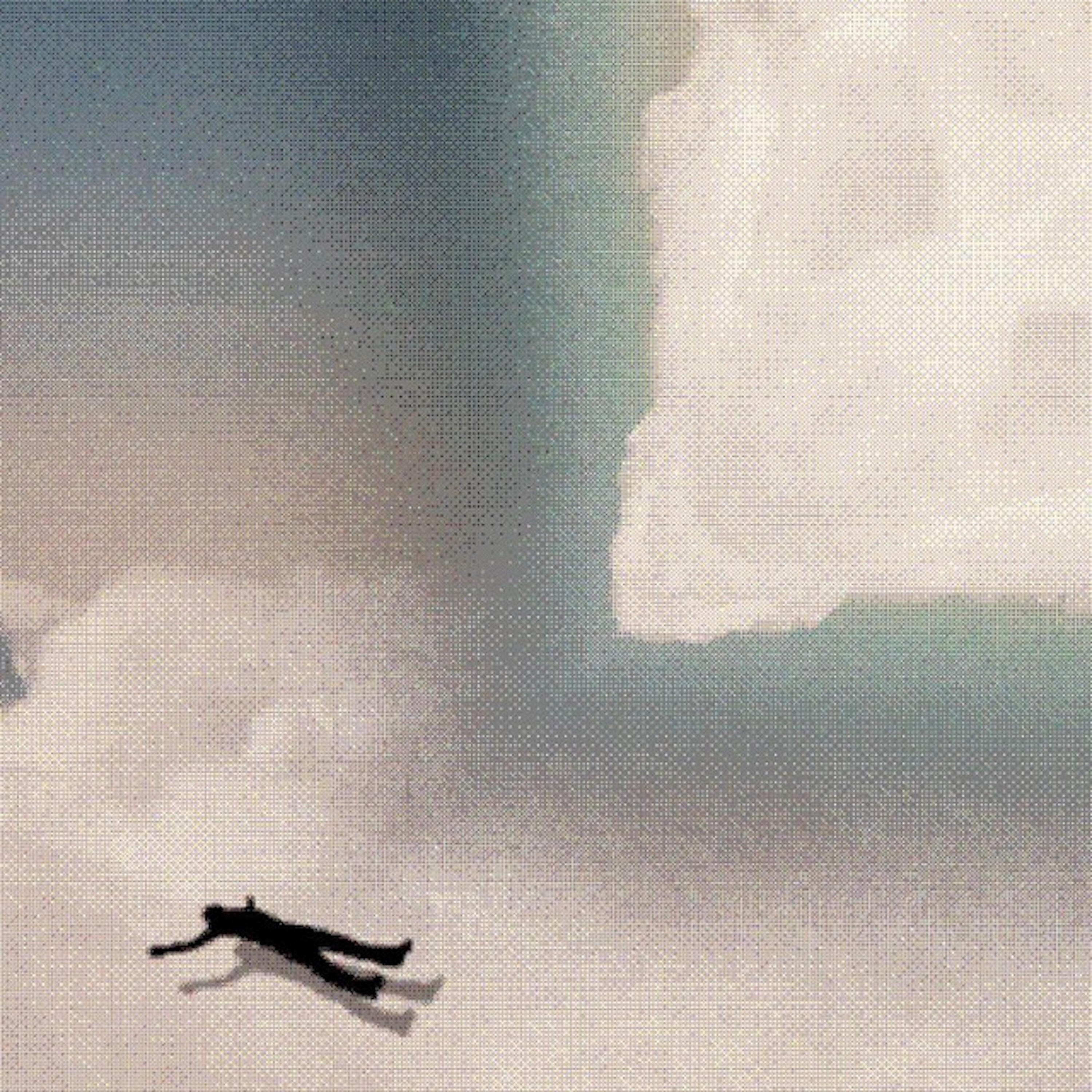 2SKi