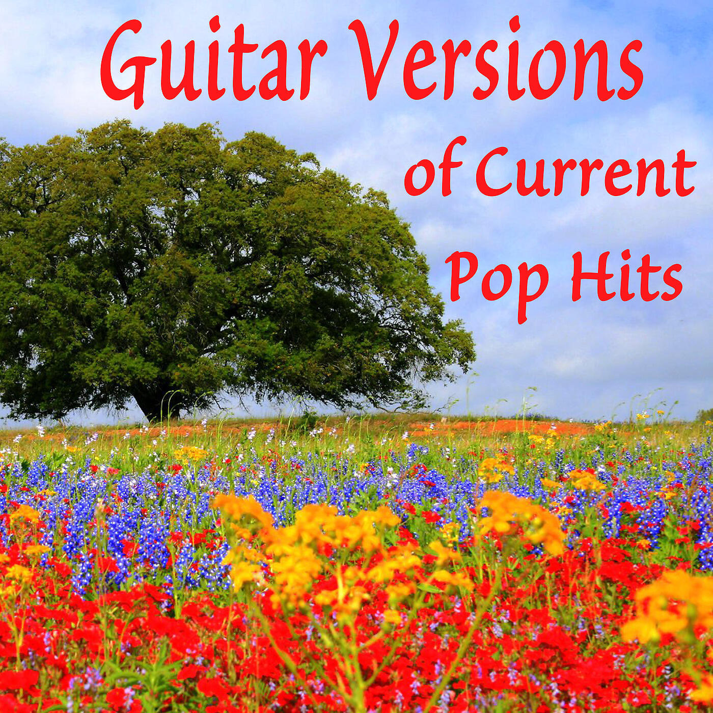 Steve Petrunak, Guitar Tribute Players - Scars to Your Beautiful (Instrumental Version)