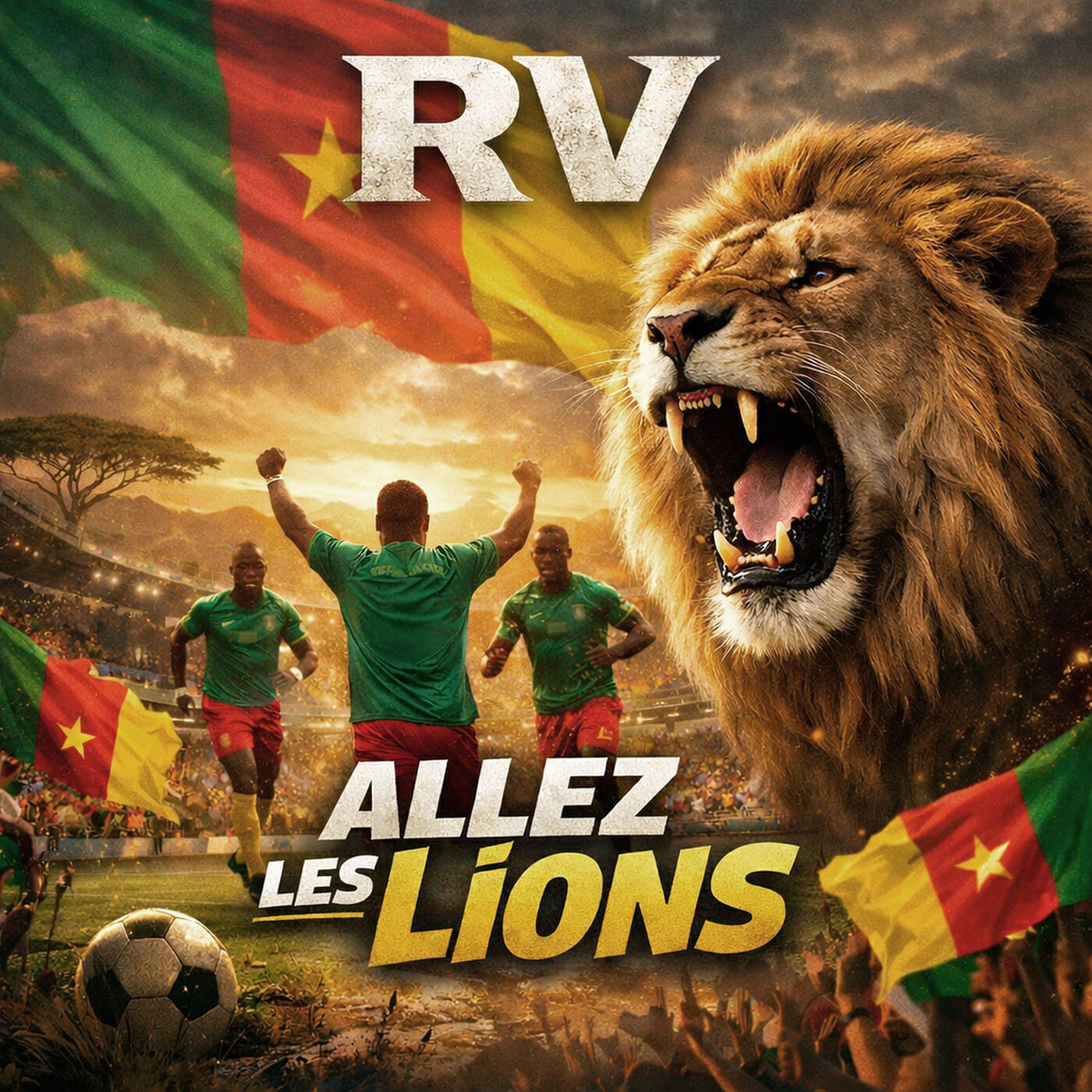 ALLEZ LES LIONS