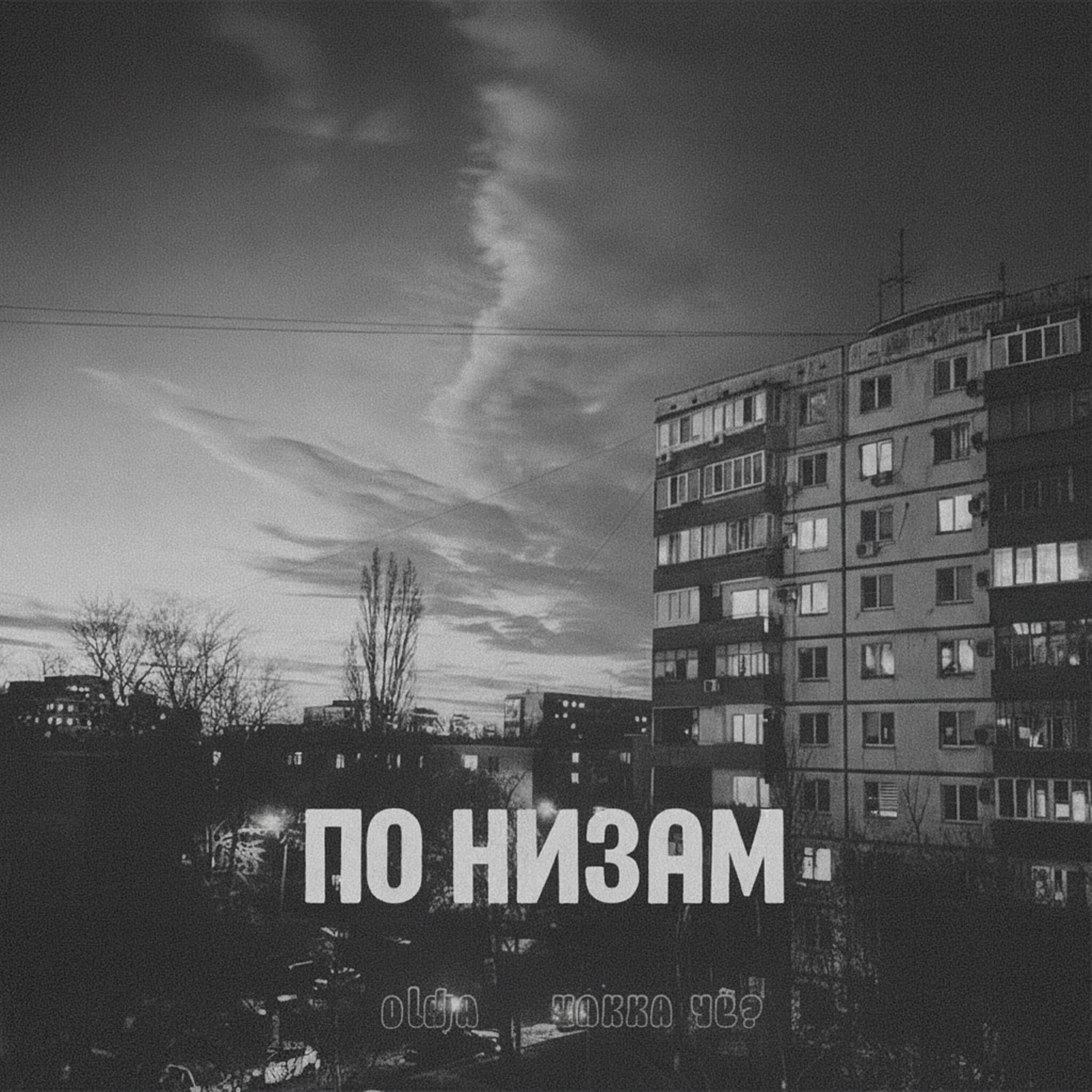 По низам