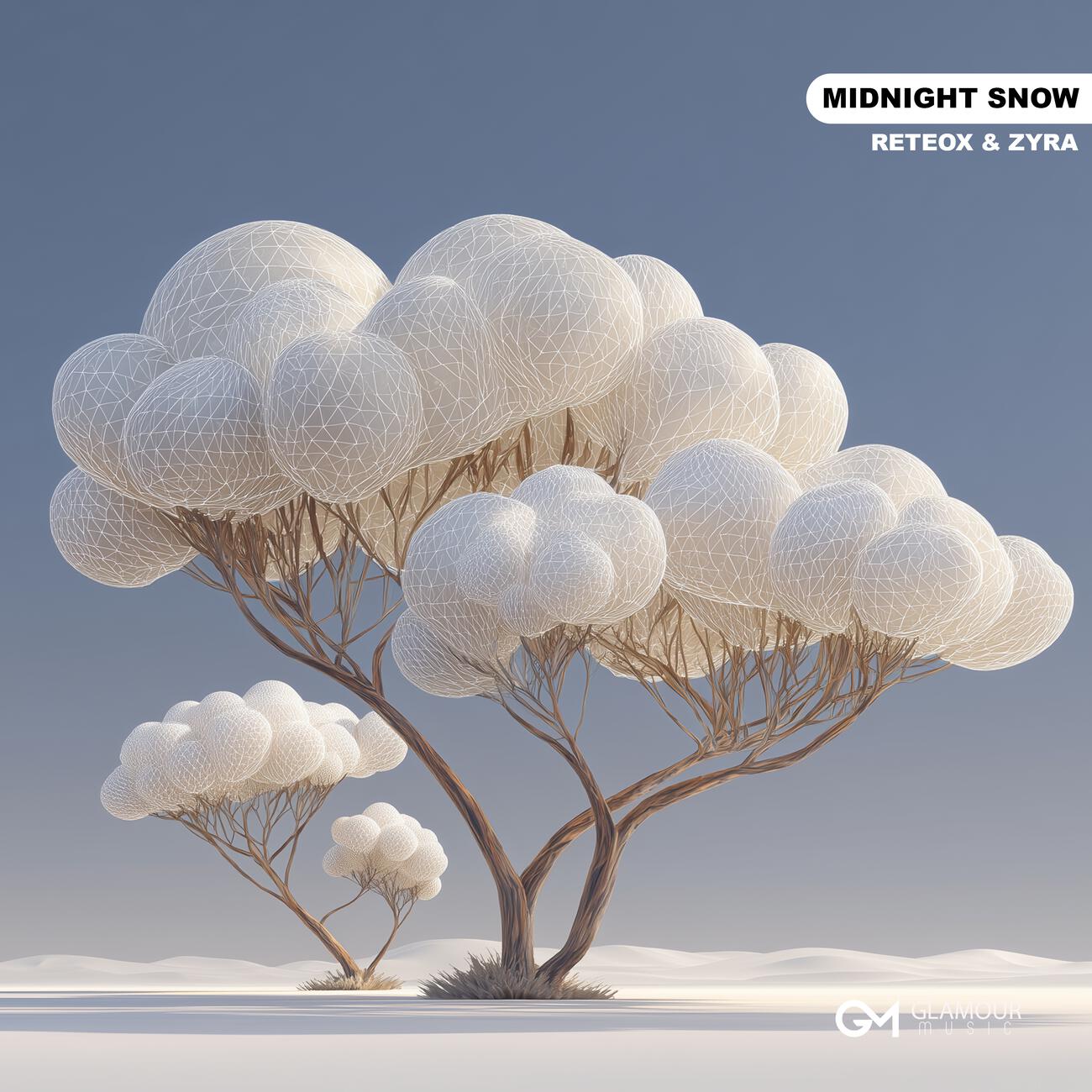 Midnight Snow