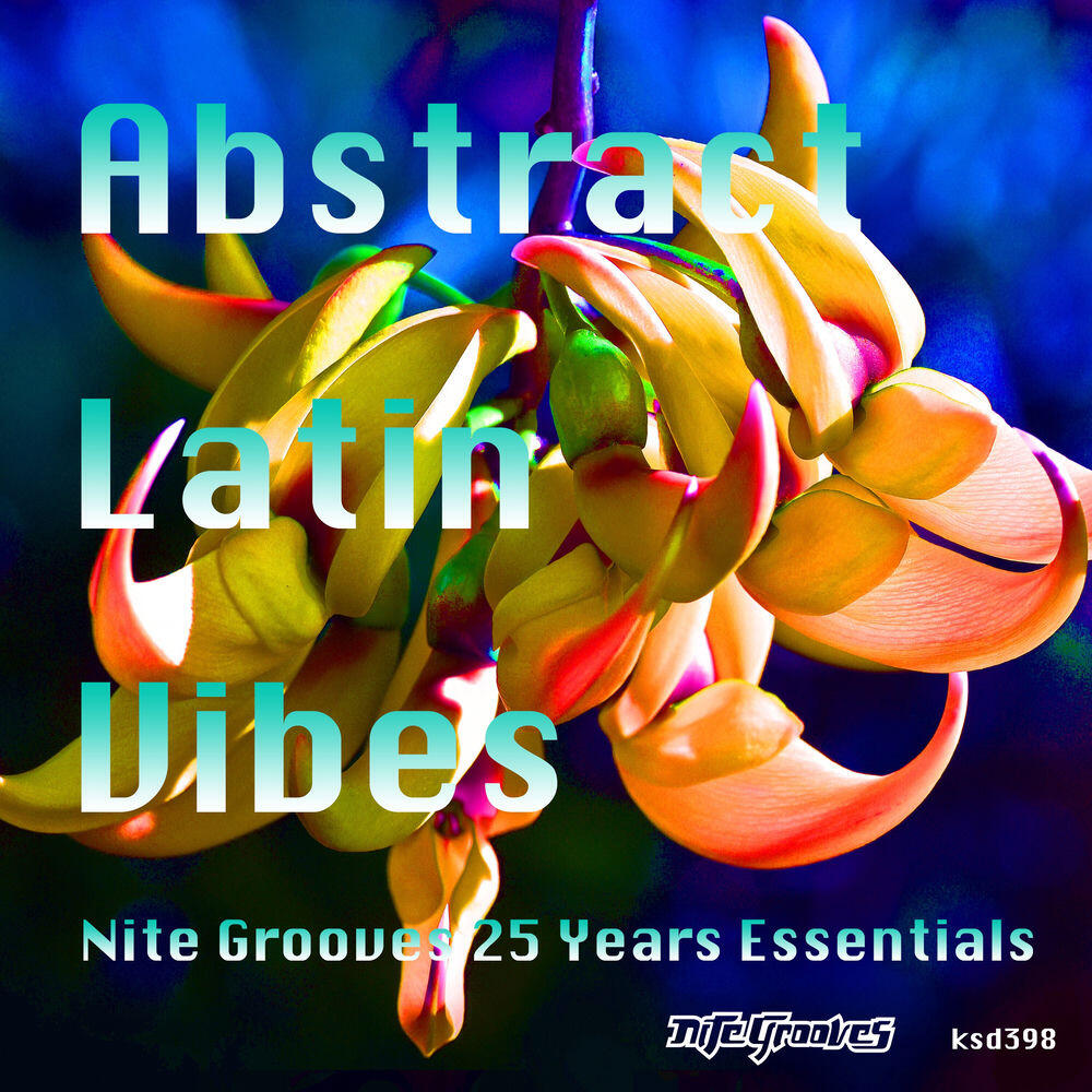 Альбом Abstract Latin Vibes (Nite Grooves 25 Years Essentials) исполнителя Various Artists, Baccara, The Ananda Project, Harry Romero, Ralphi Rosario, Milk, Sugar, B-Liv, Kerri Chandler, Frankie Feliciano, Stephanie Cooke, Fuminori Kagajo, Michele Chiavarini, Hallexm, Pete Simpson, Dennis Ferrer, Terrance Downs, Urh, The Soul Movement, Ramon Riera, Franco de Mulero, Tuccillo, Pablo Fierro, Max Marinacci, Stacy Kidd, Muzzaik, Cristian Vinci, Virág, Groovebox, Anthony Nicholson, Silvano Del Gado, Edmund, Matthias Heilbronn, Myra, Allovers, Joydiel, Charlotte Hunt, James 