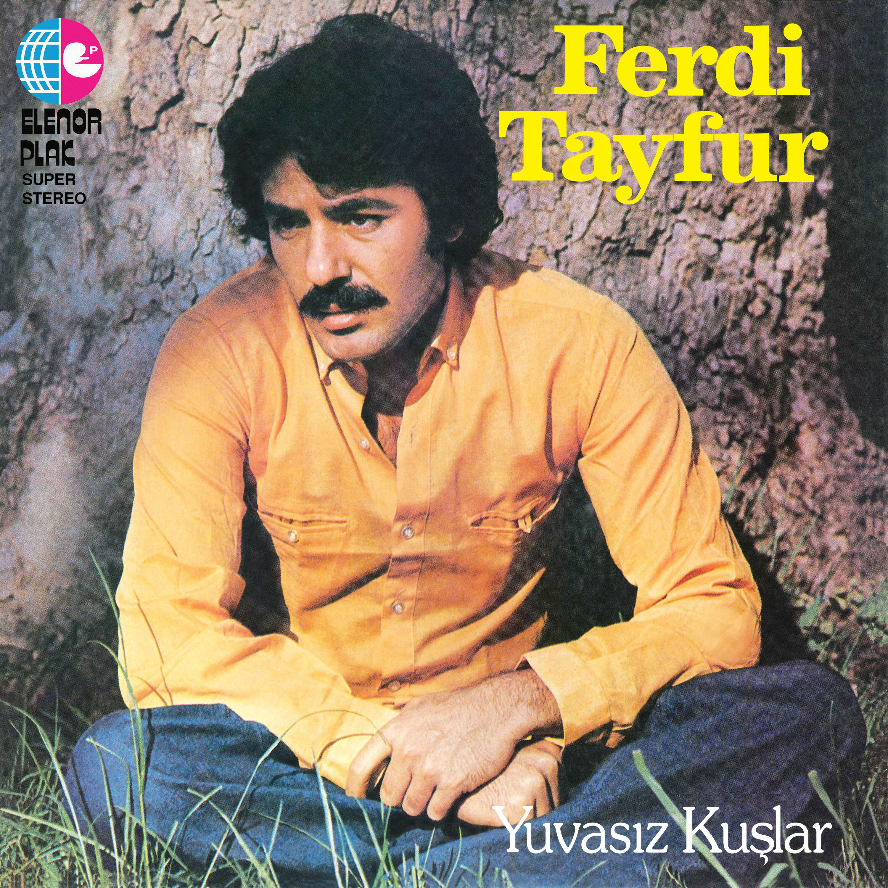 Ferdi Tayfur - Yuvasız Kuşlar