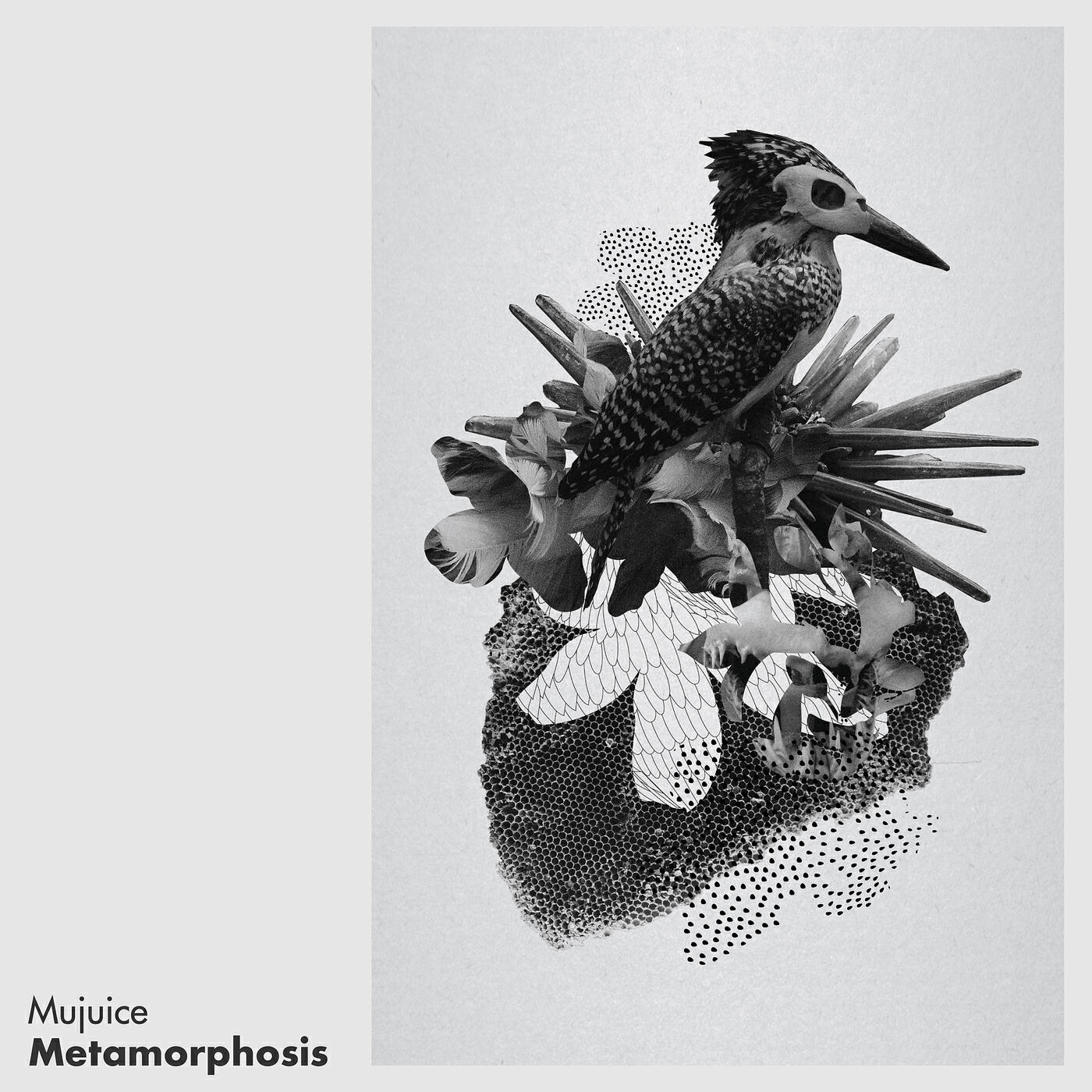 Metamorphosis